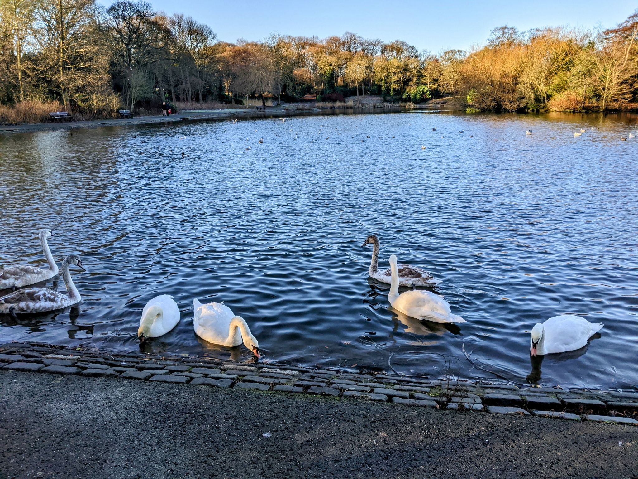 Community photo by Kevan