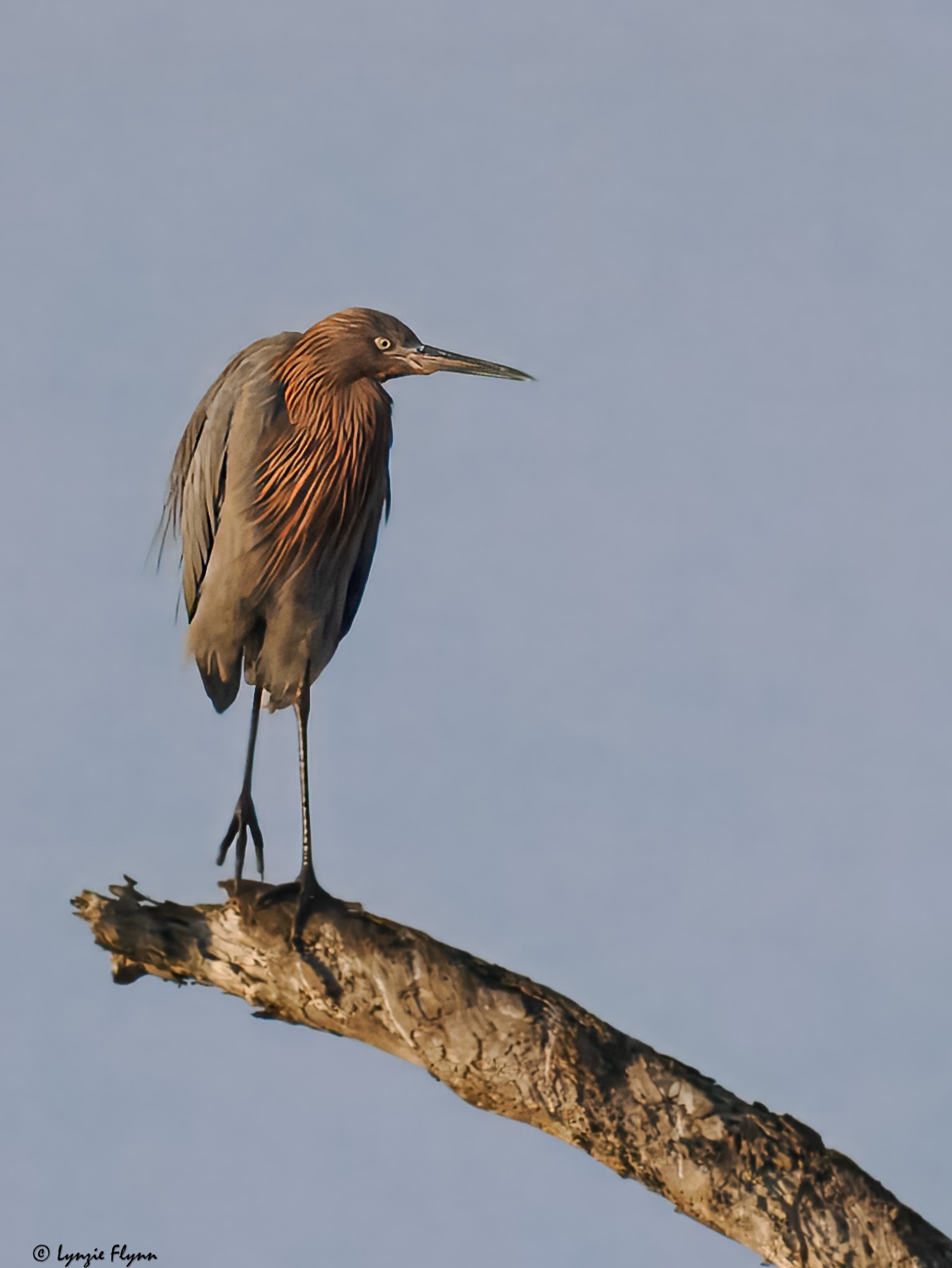 Community photo by Lynzie