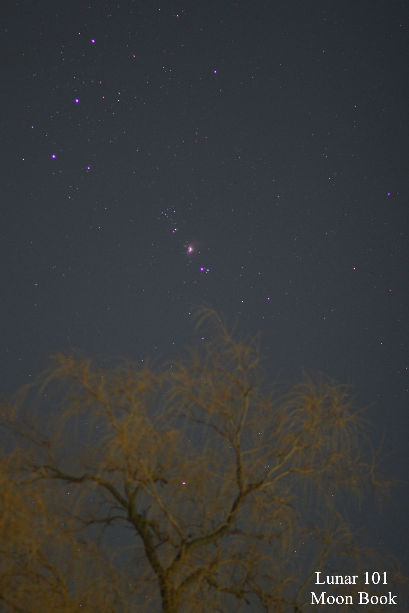 Community photo by Steven