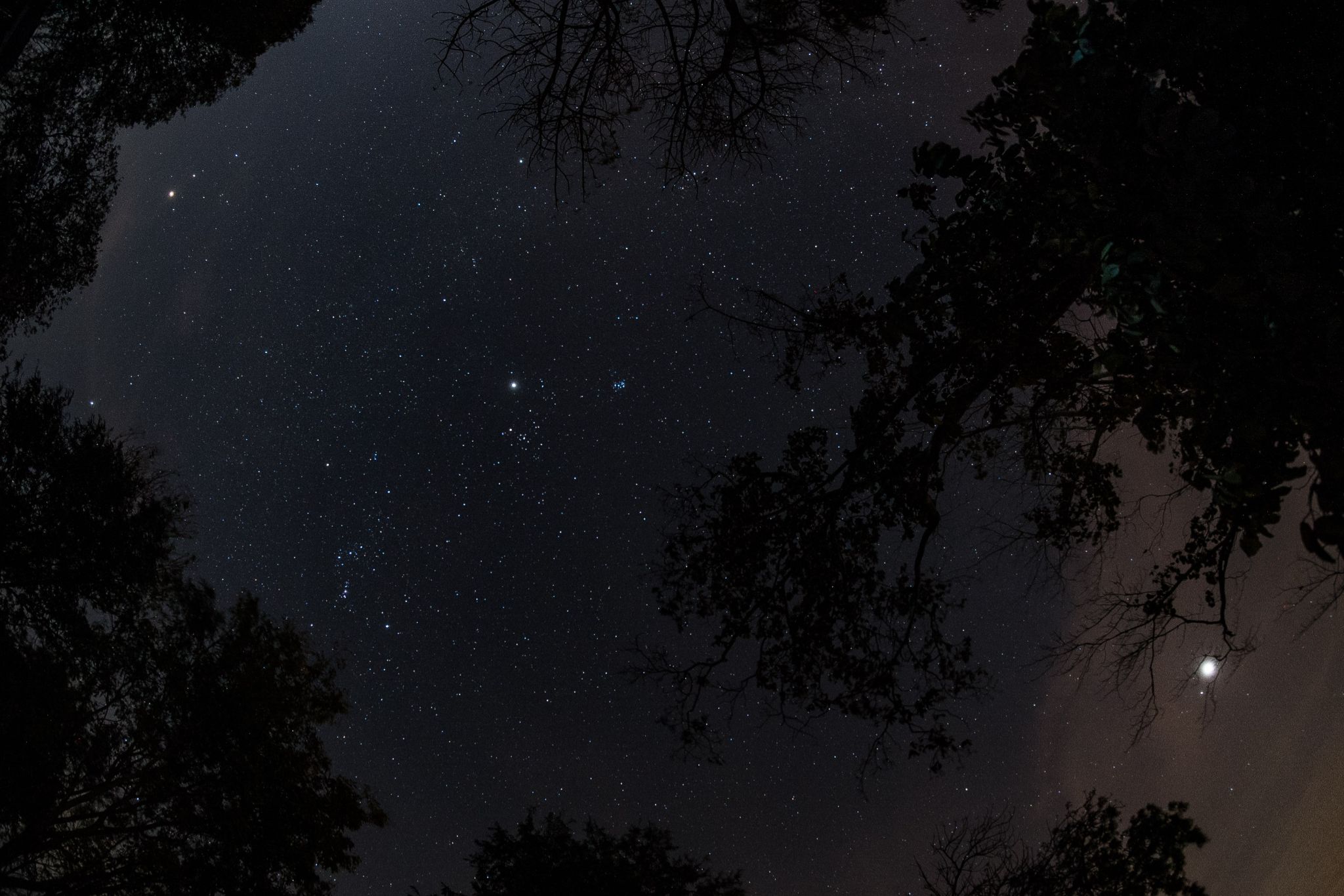 Community photo by Wiwat Changtrakul | Thepsathit, Chaiyaphum, Thailand.