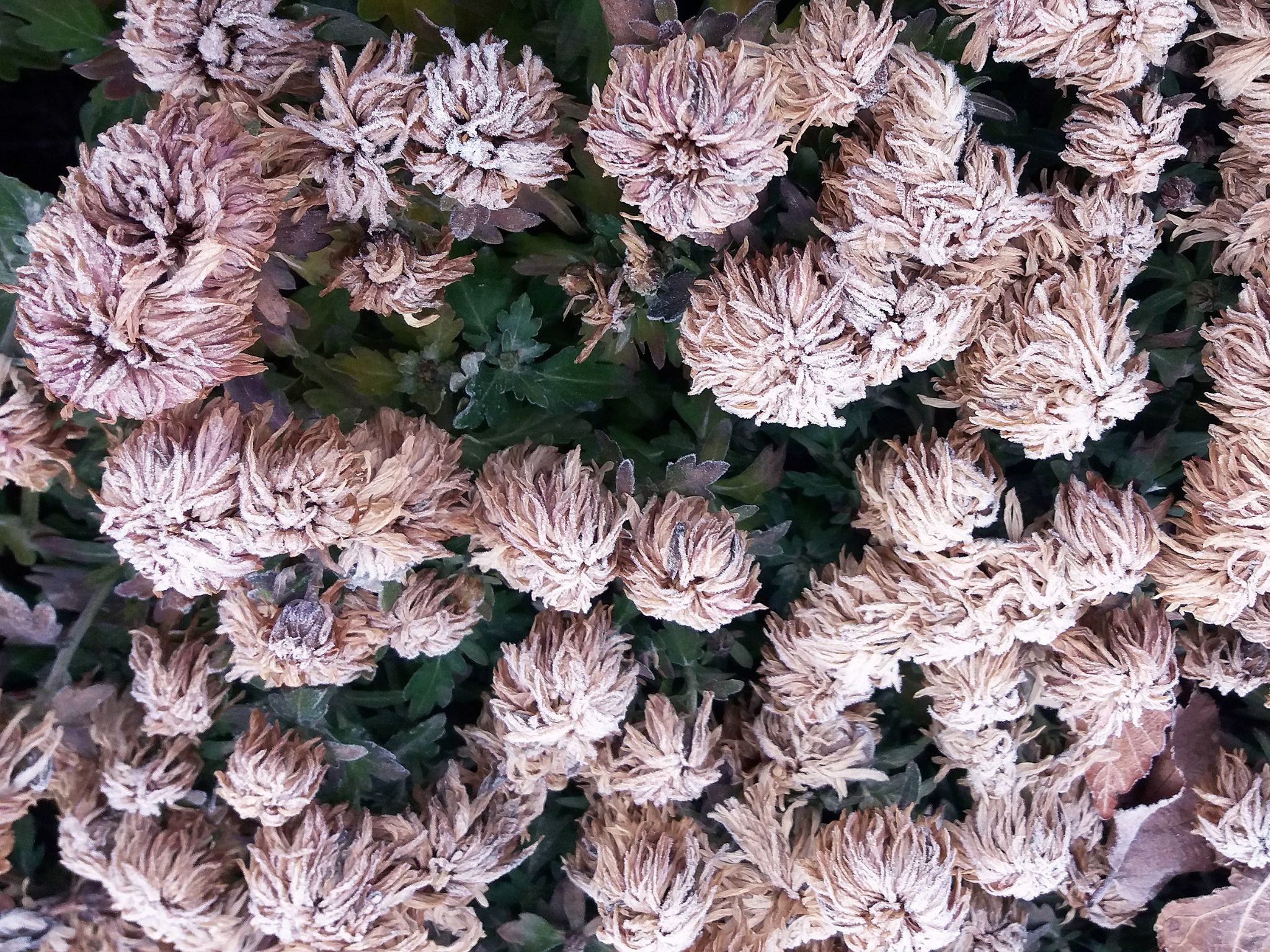 Community photo by Hassan