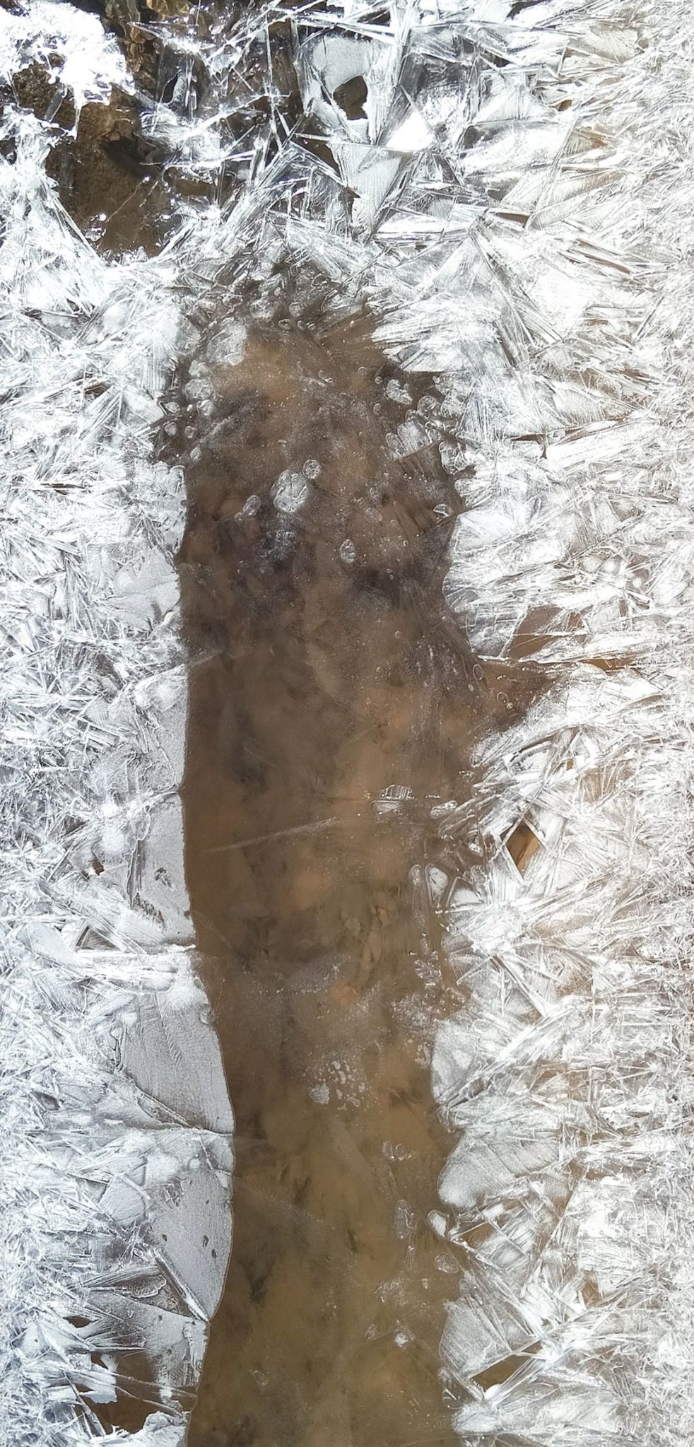 Community photo by Hassan