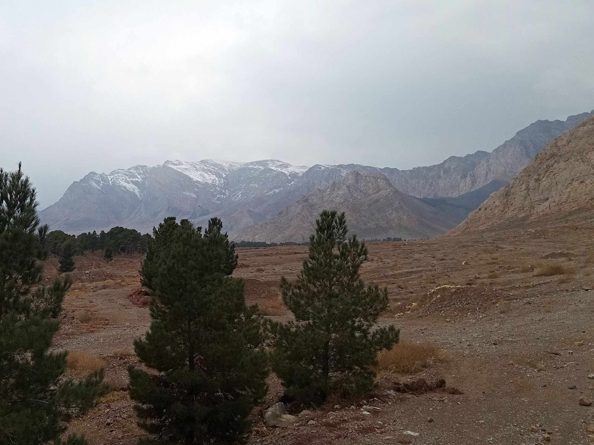 Community photo by Hassan