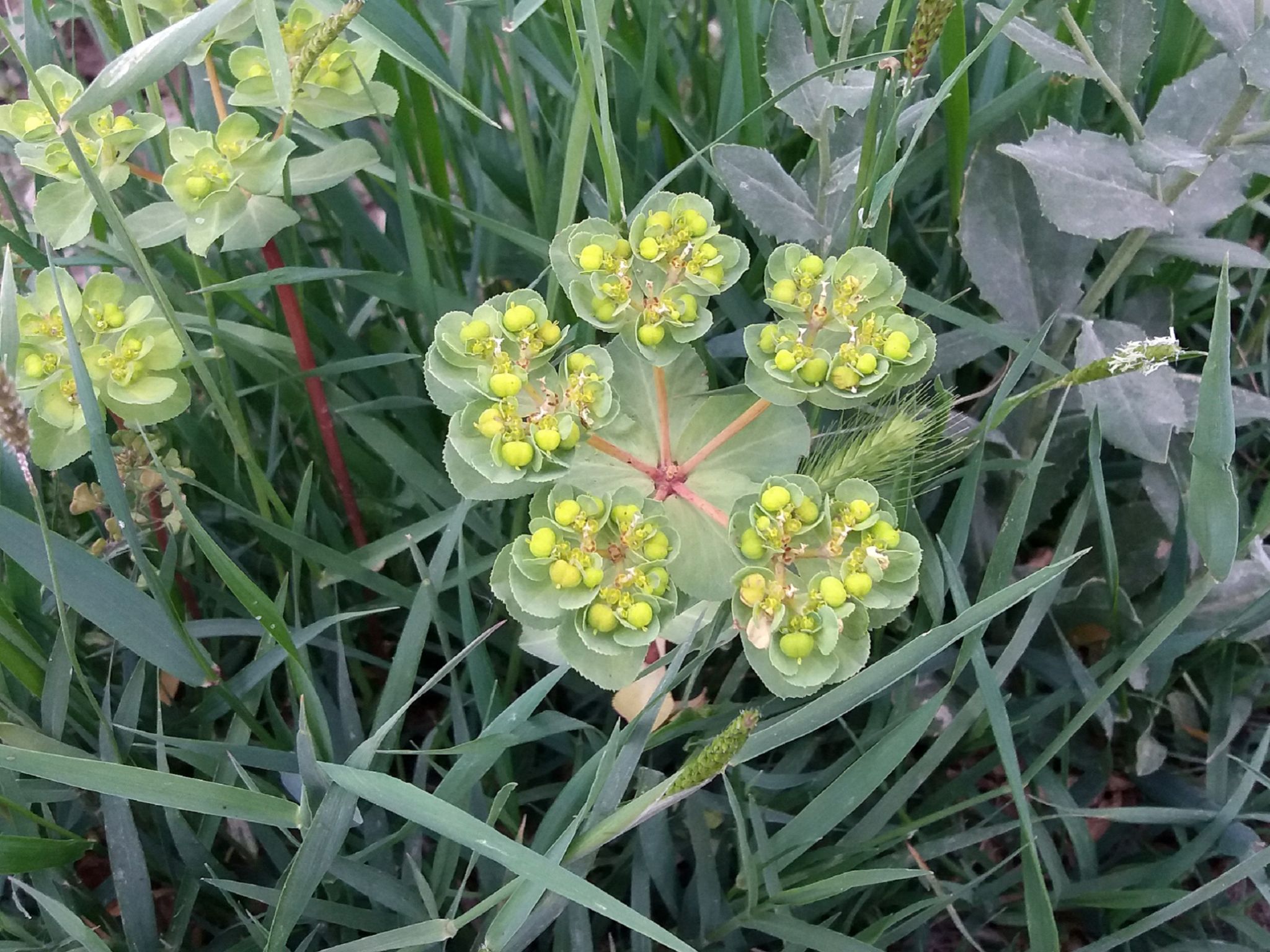 Community photo by Hassan