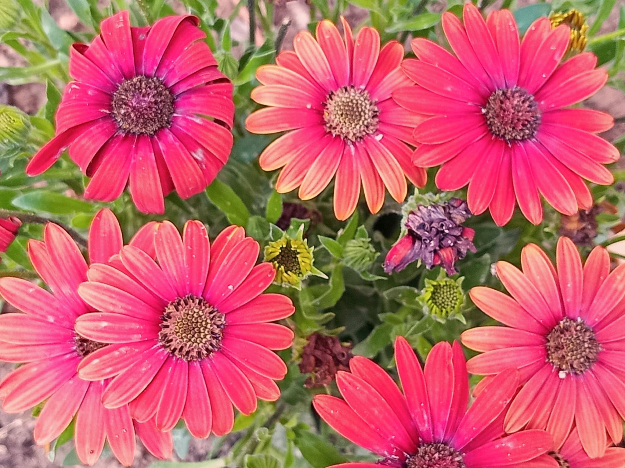 Community photo by Hassan