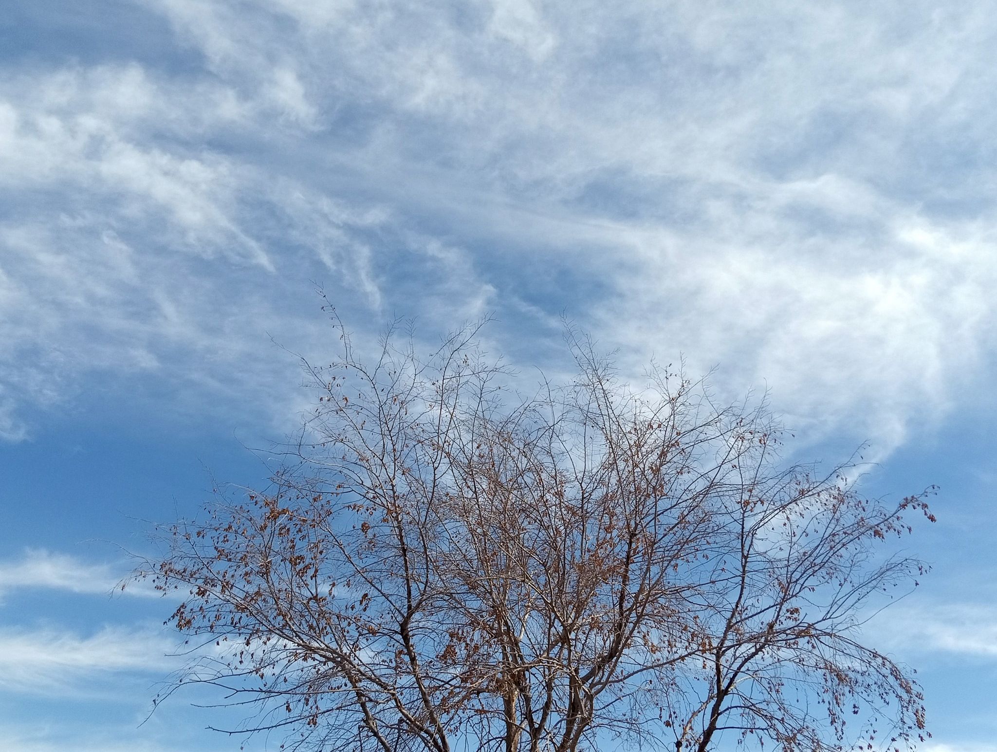 Community photo by Hassan