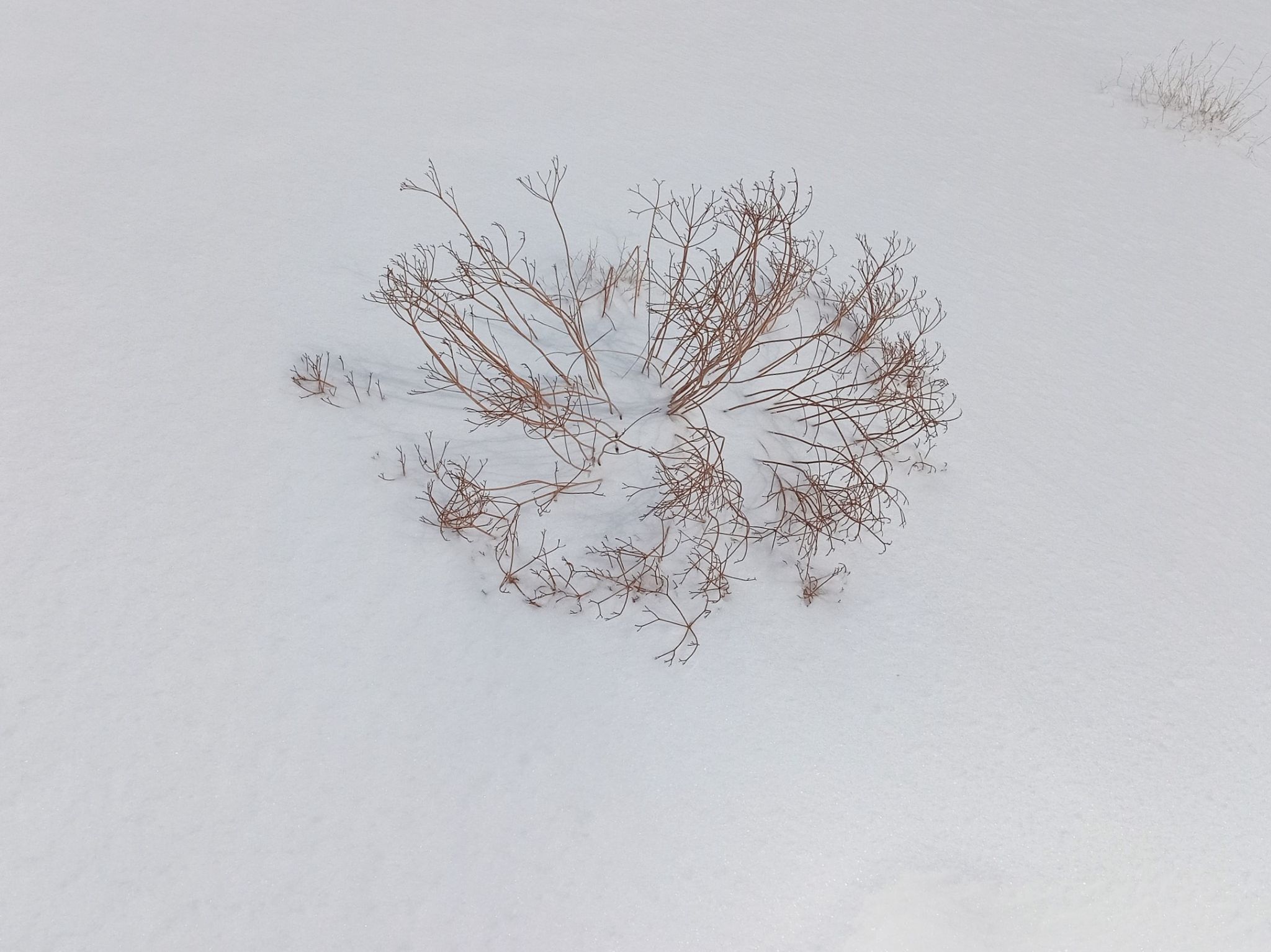 Community photo by Hassan