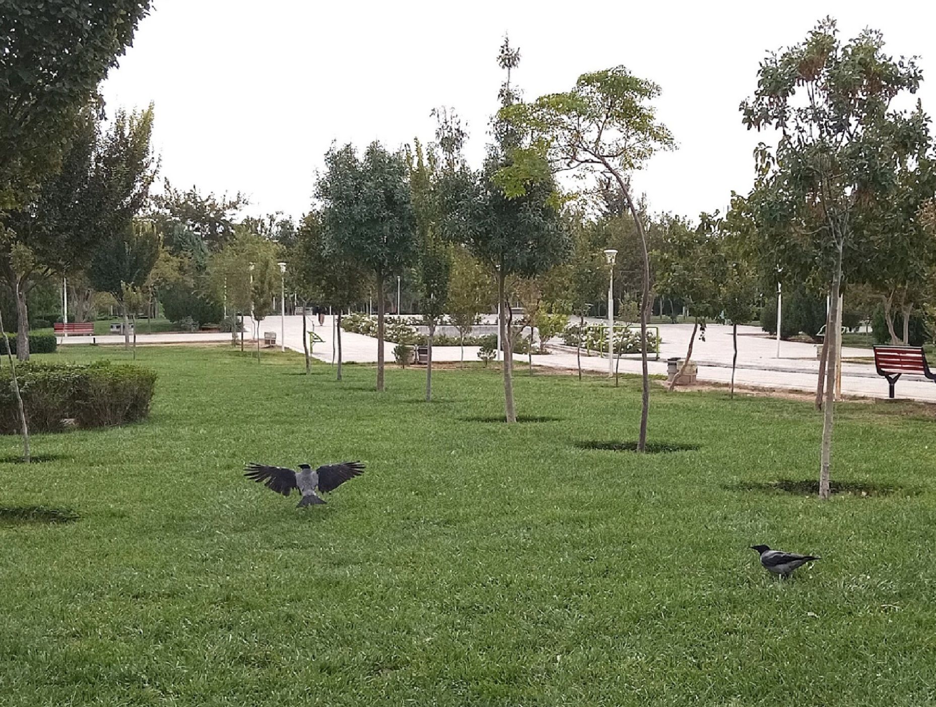 Community photo by Hassan