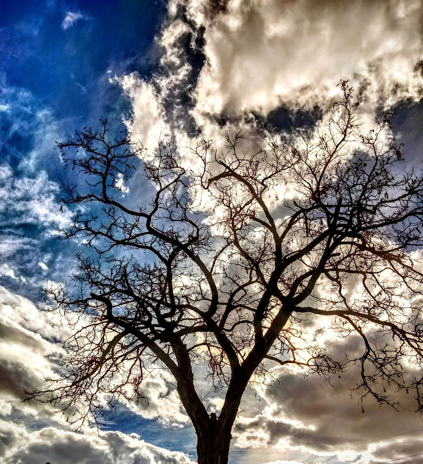 Community photo by Chris Cholas | Albuquerque NM USA