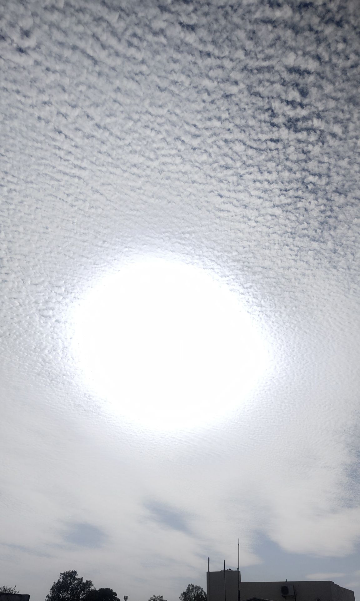 Community photo by Harsha