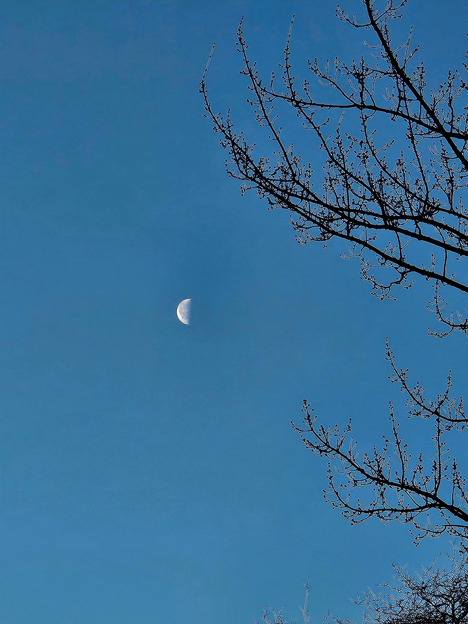 Community photo by C. Gentile | Florham Park, NJ USA