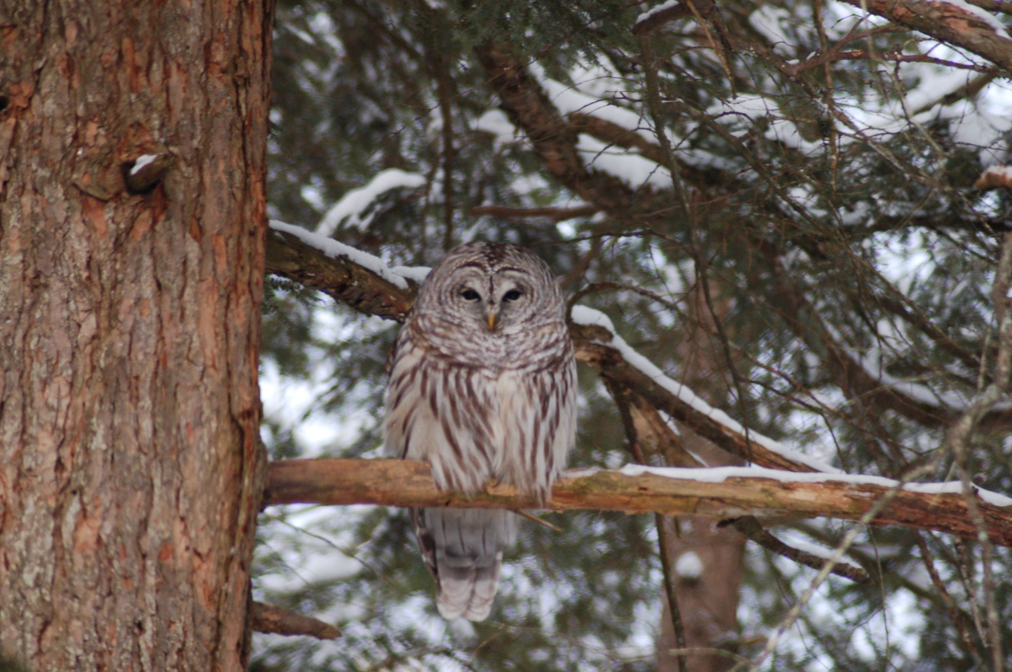 Community photo by Shiva