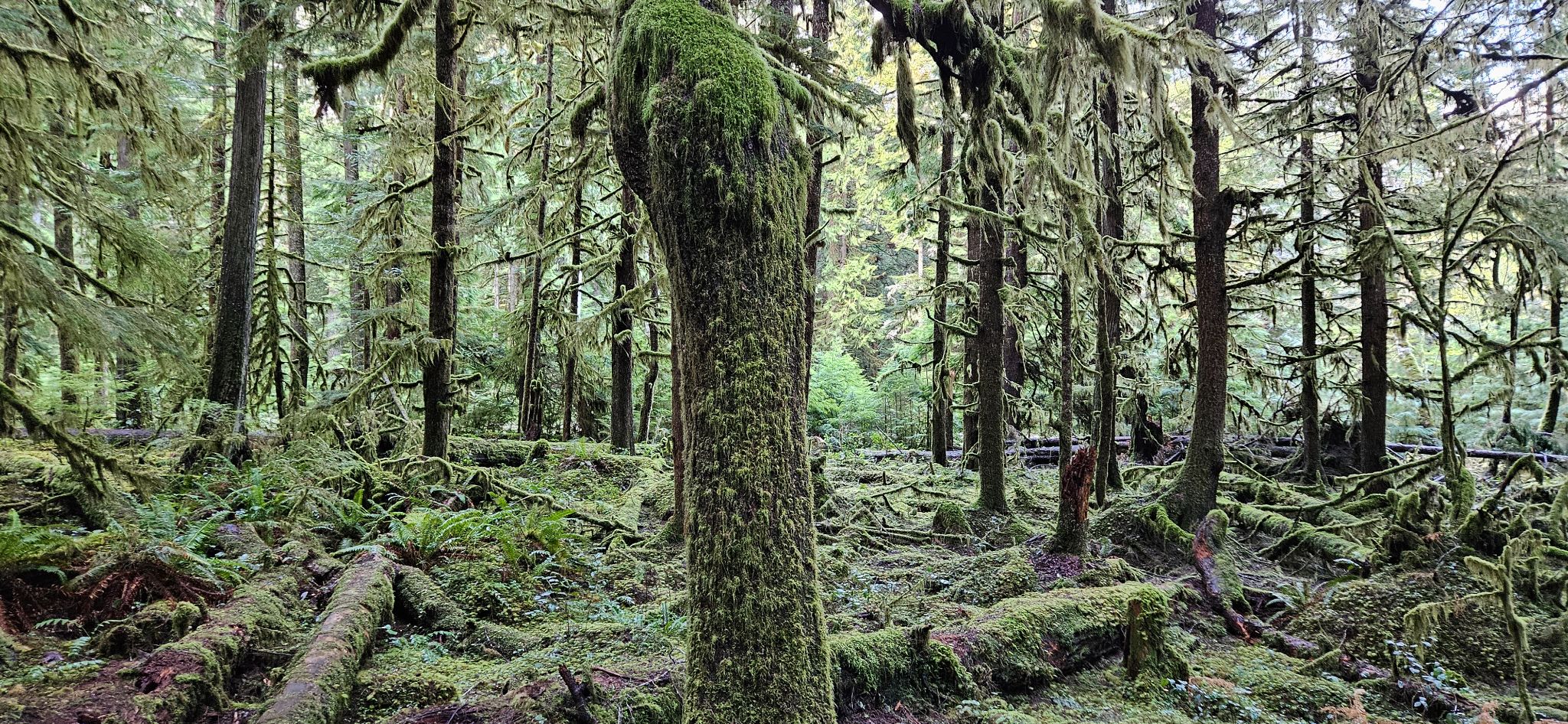 Community photo by Karen