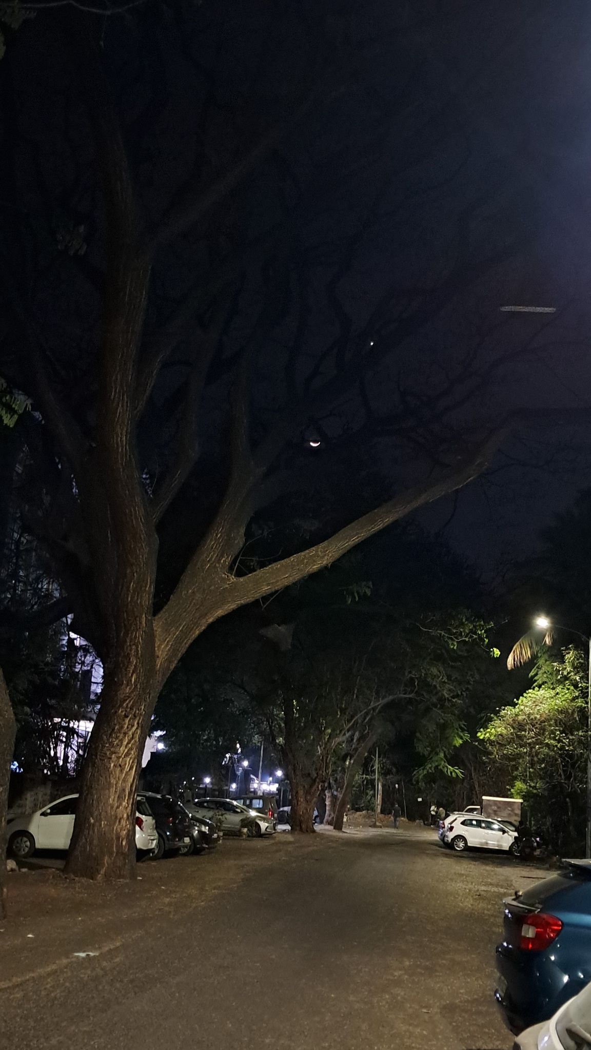 Community photo by Lakshmi Ravishankar | Pune, Maharashtra, India