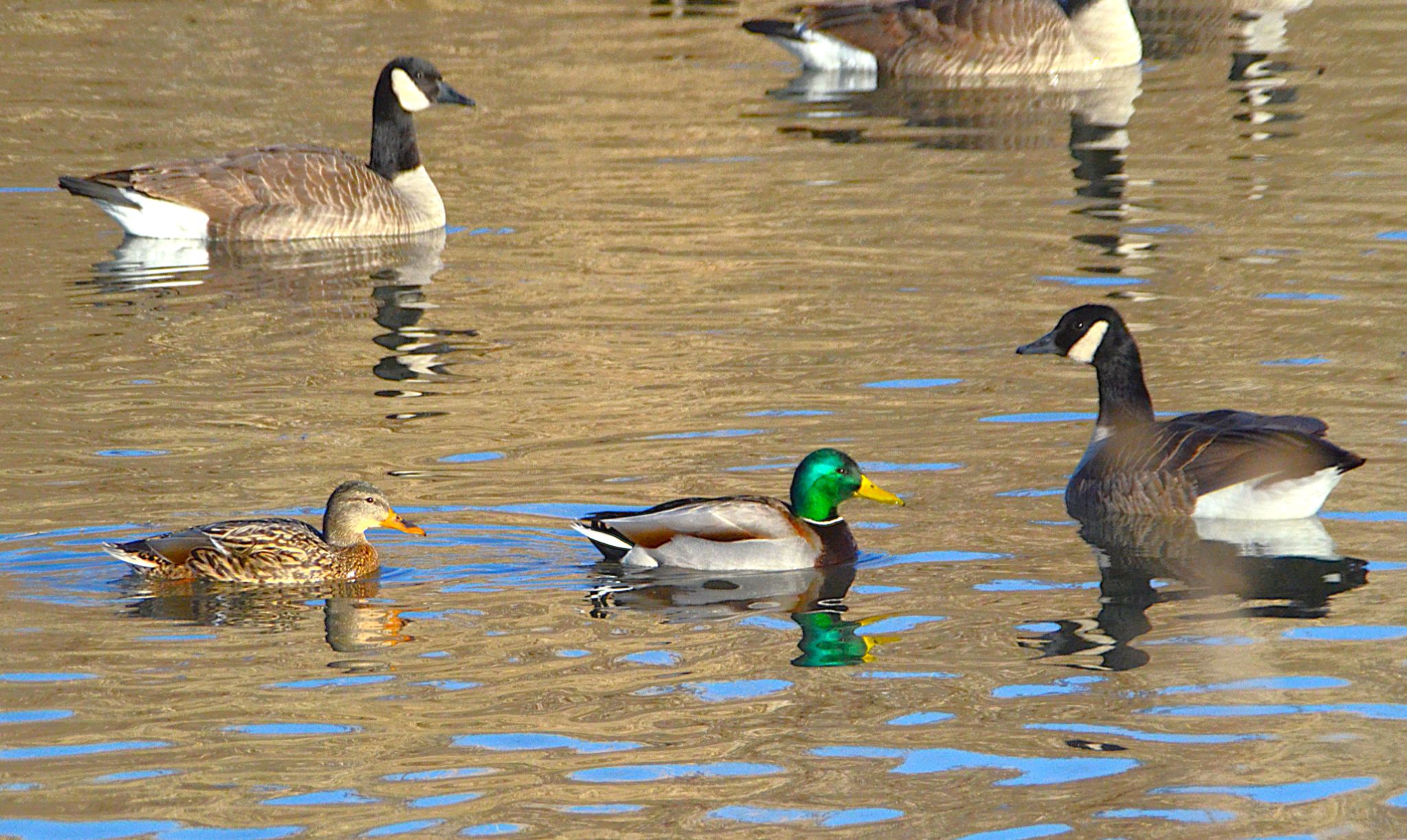 Community photo by Randy