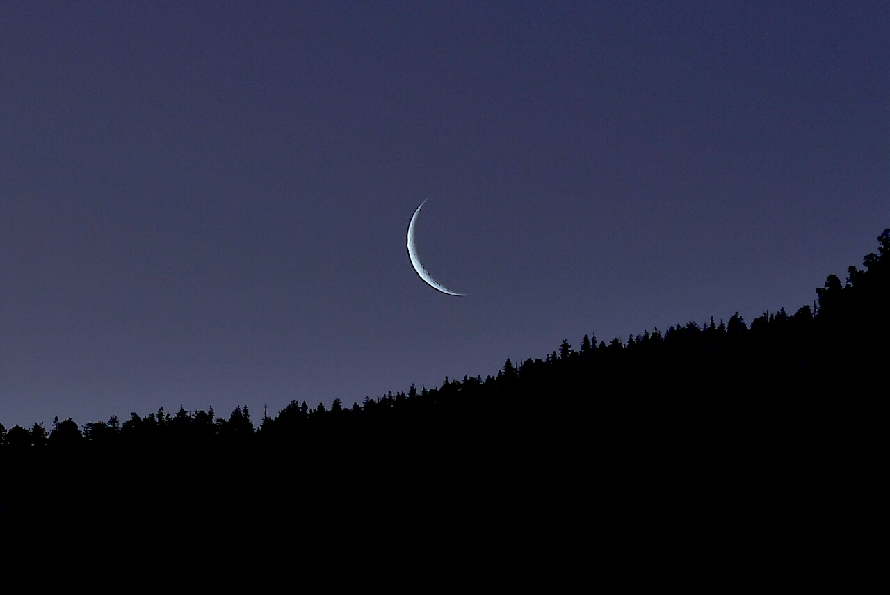 Community photo by Michael Flynn | Pine Mountain Club,California,USA