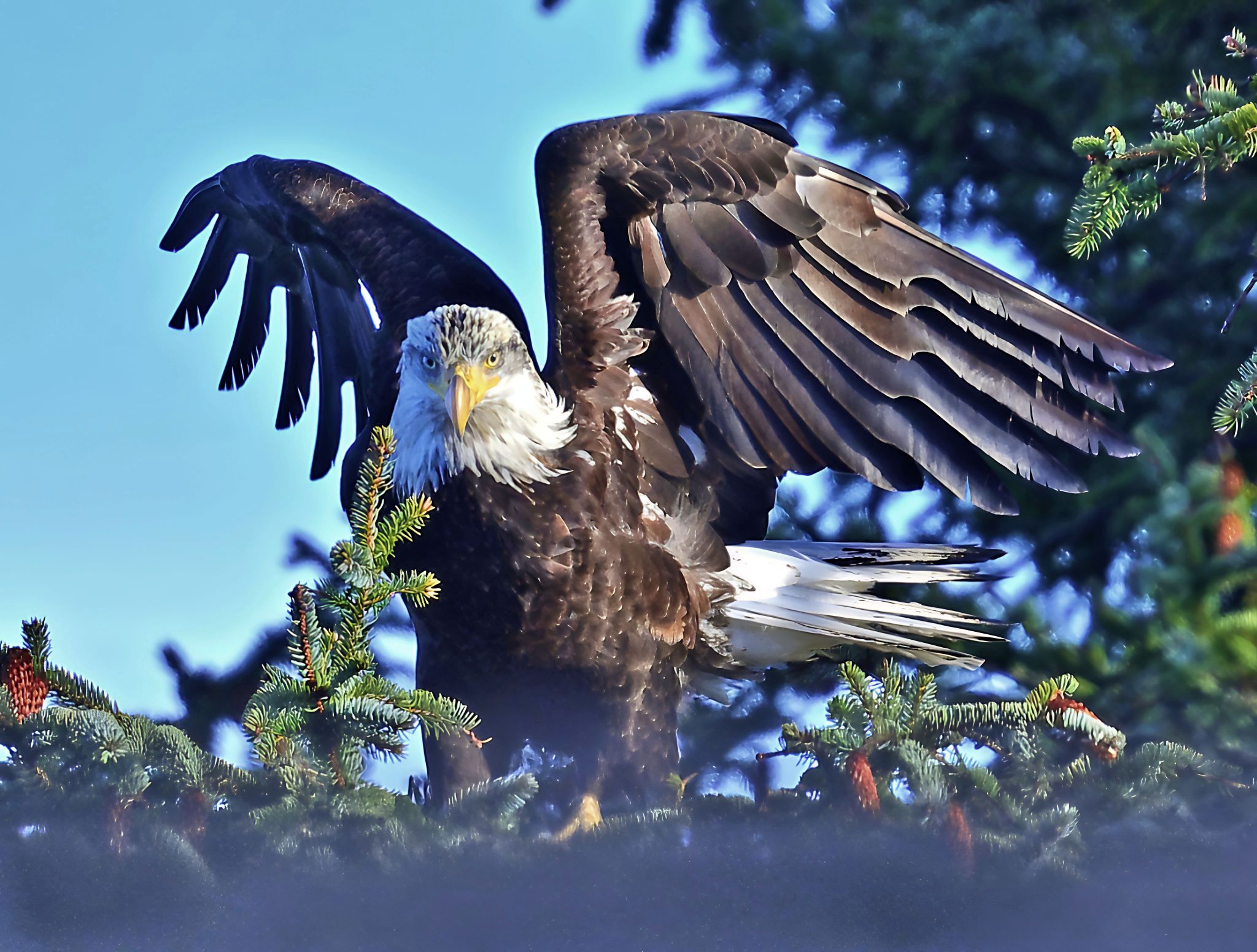 Community photo by Cecille Kennedy | Oregon Coast, Oregon