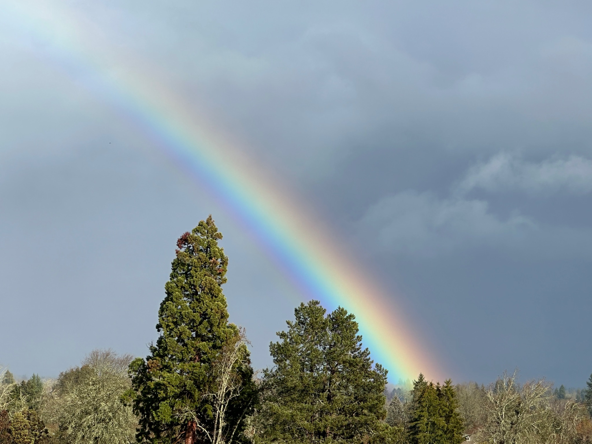 Community photo by Victoria Bryhan | Corvallis, Oregon