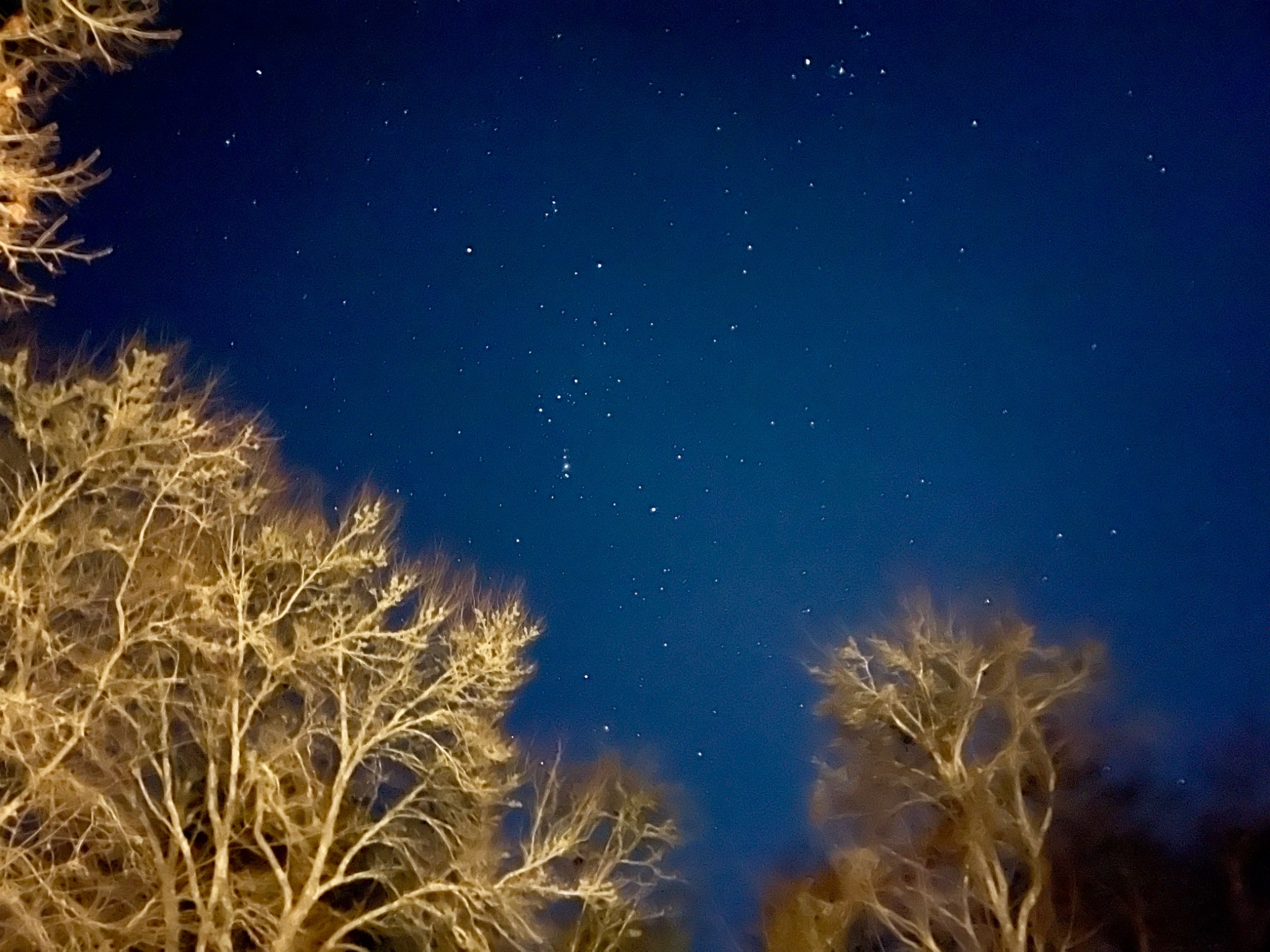 Community photo by Ari Stamatiou | Wareham Massachusetts