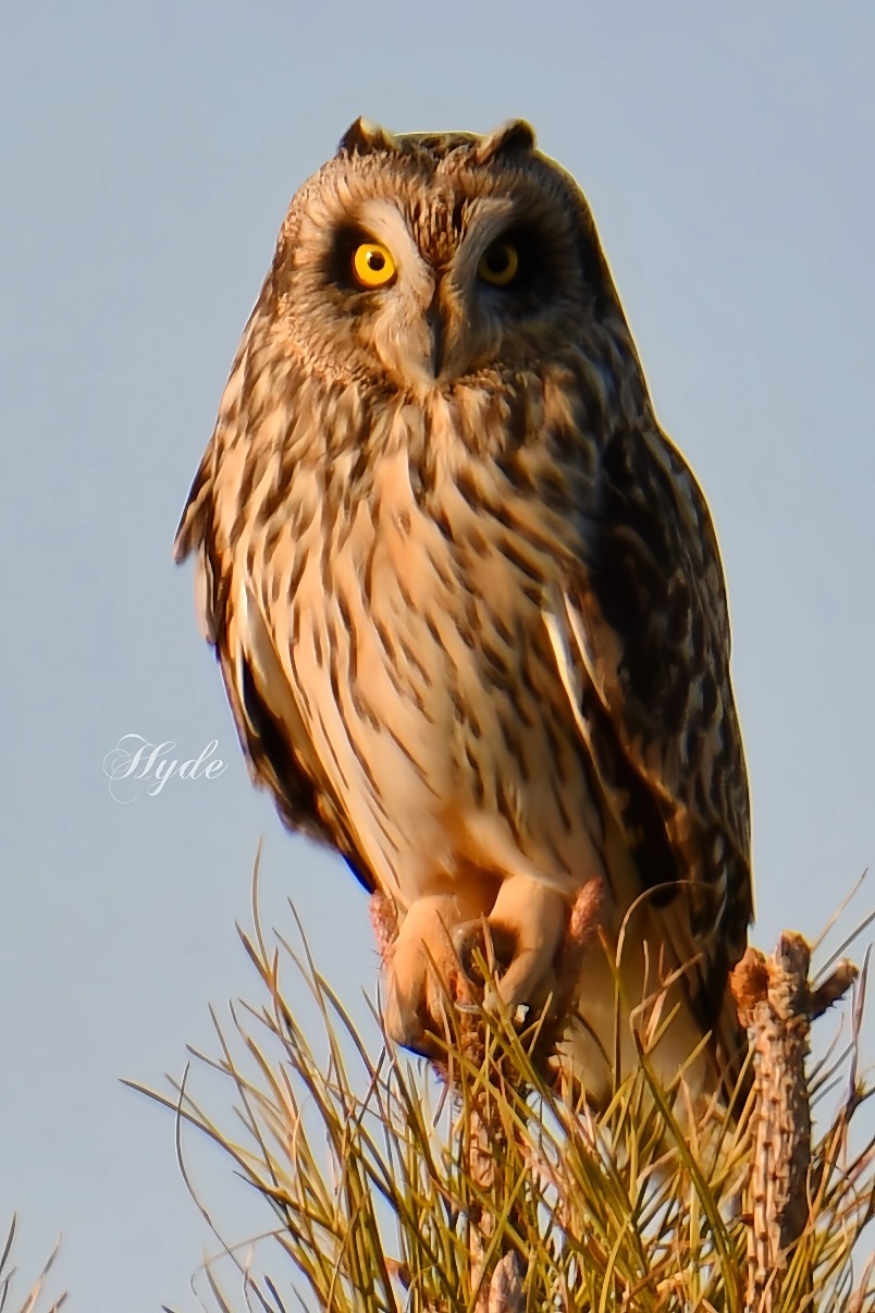 Community photo by Heidi