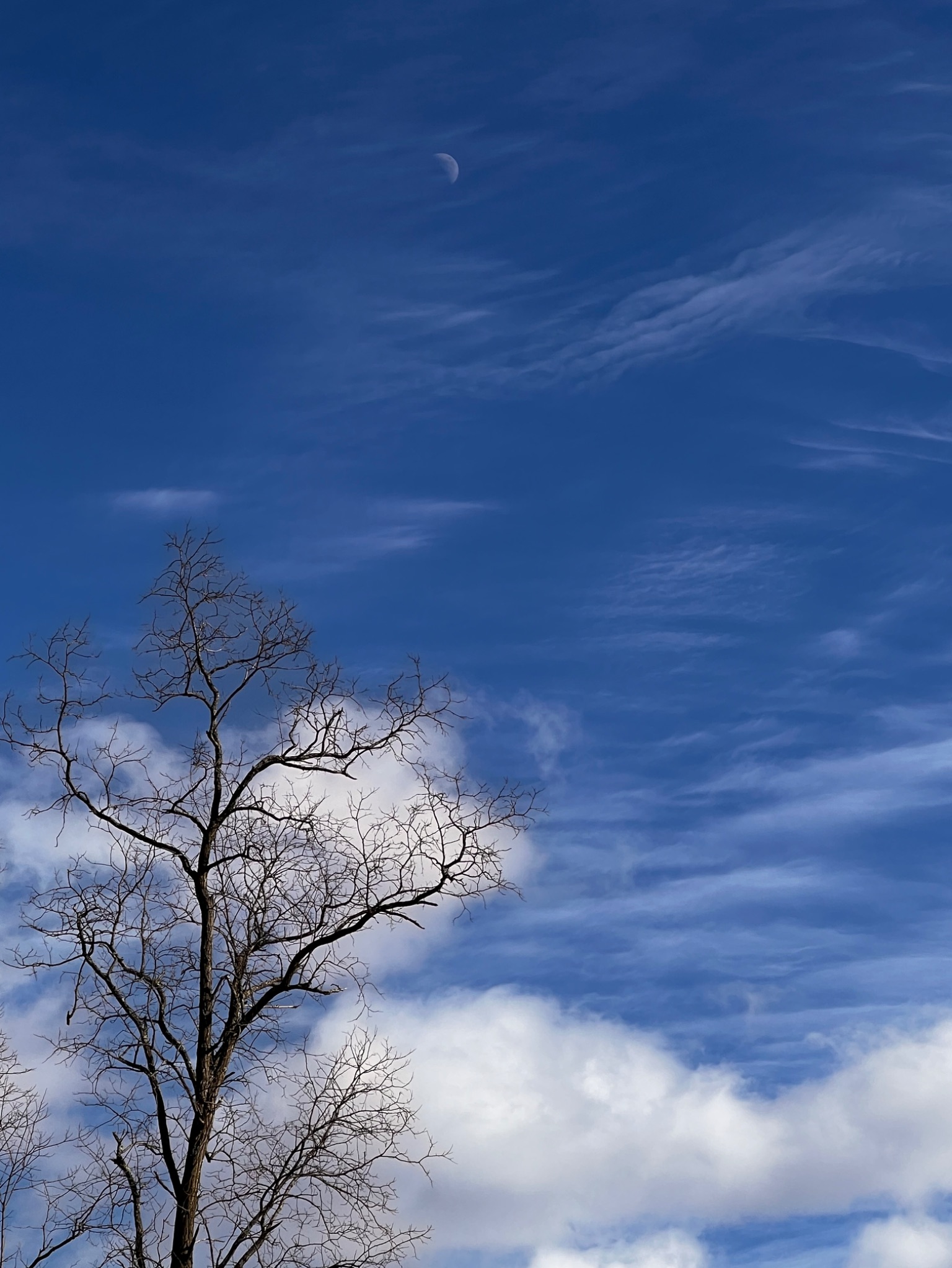 Community photo by Sudhir