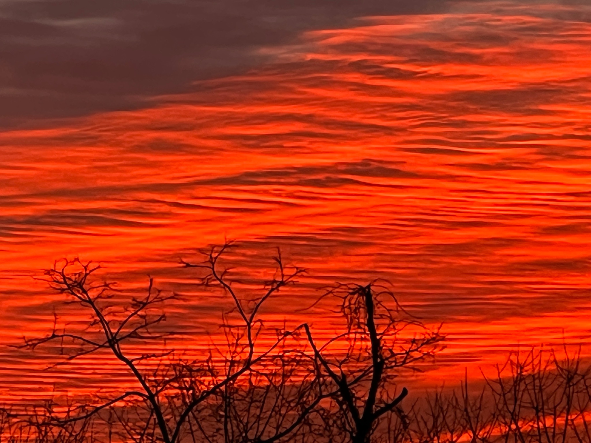 Community photo by Sudhir