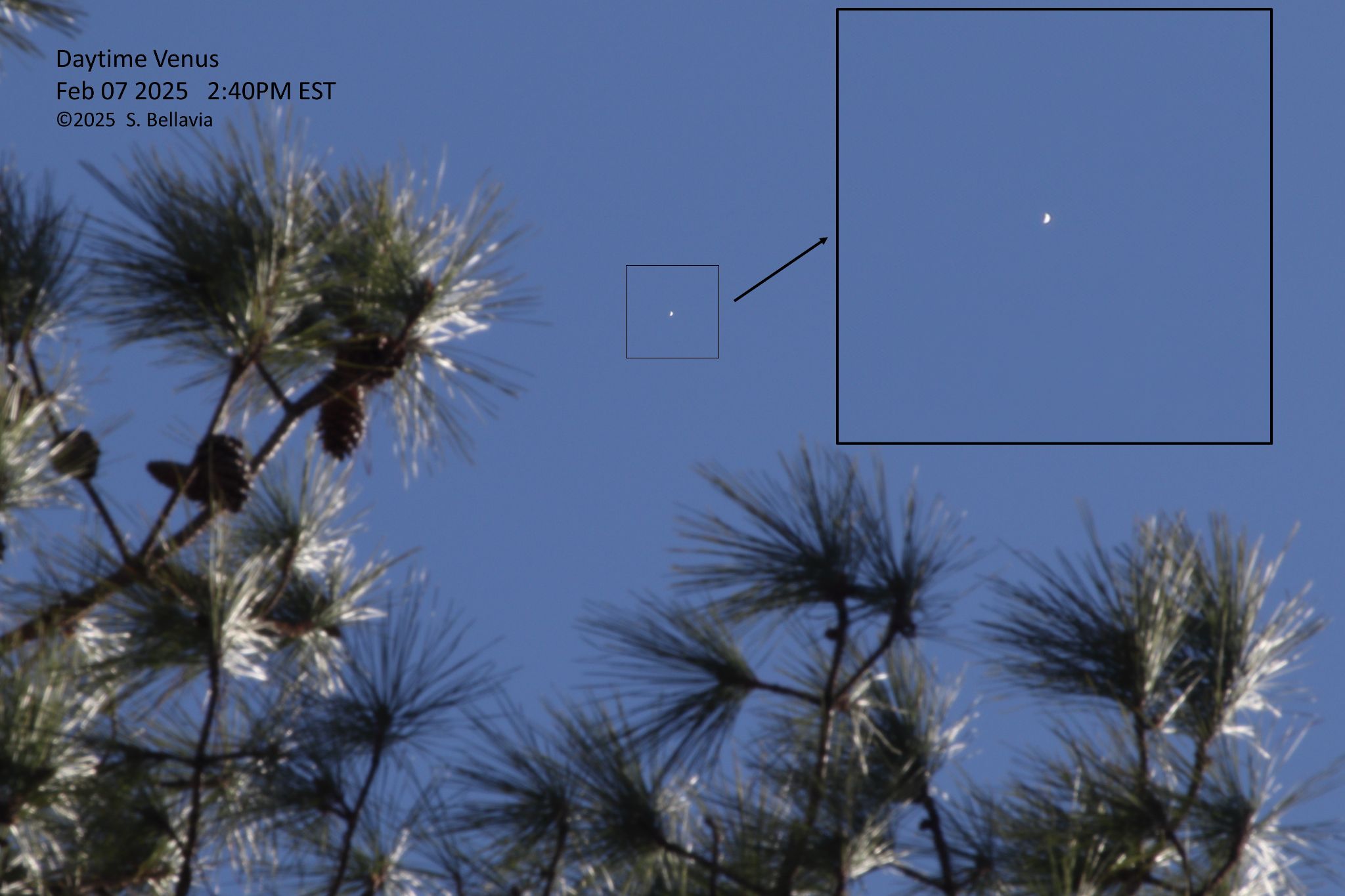 Community photo entitled Daytime Venus by Steven Bellavia on 02/07/2025 at Smithfield, VA