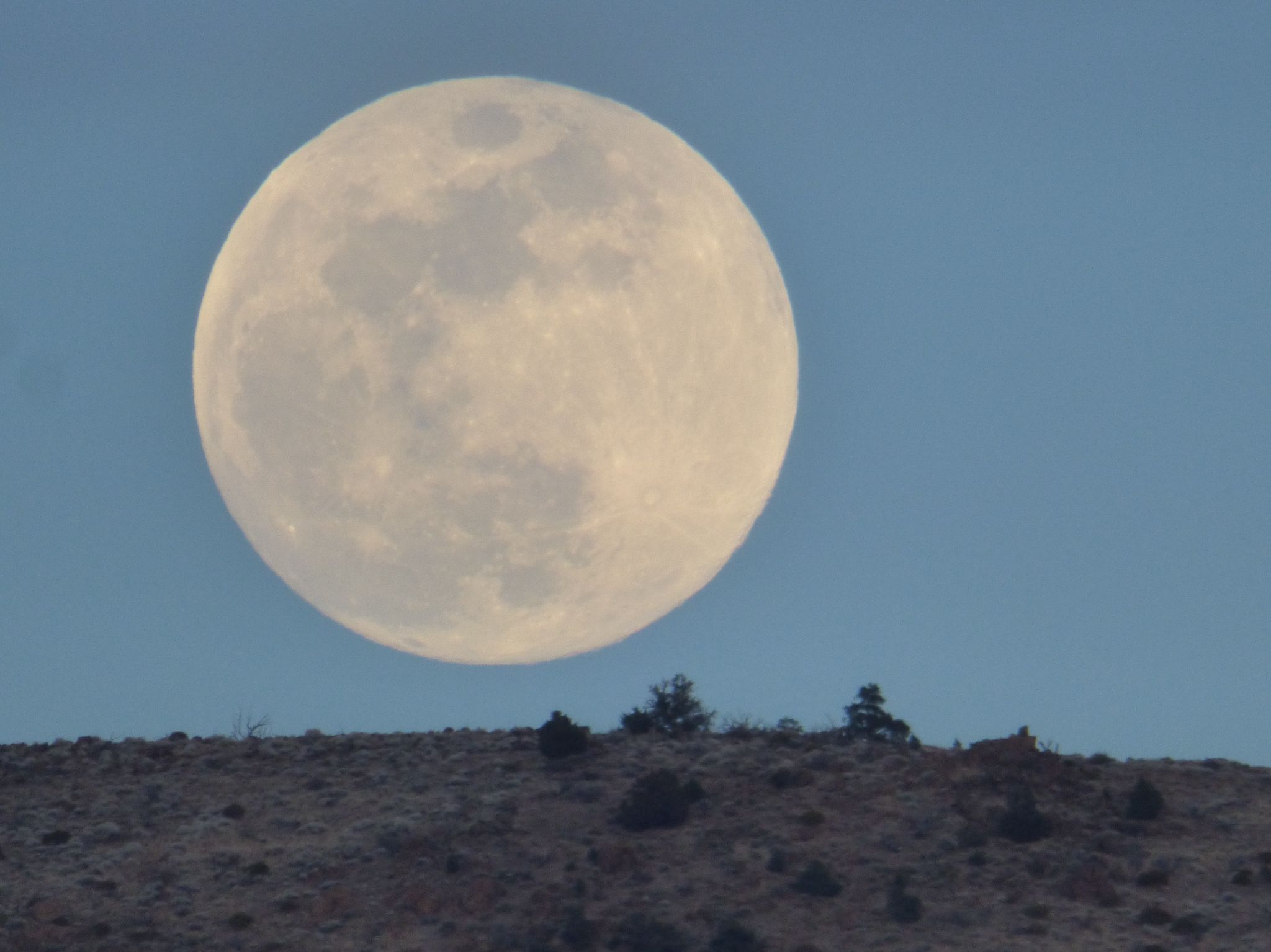 Community photo by Amheric