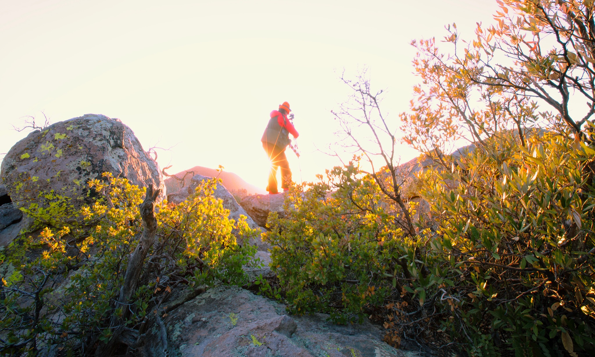 Community photo by Jelieta Walinski Ph.D | Chiricahua National Monument, Arizona, USA