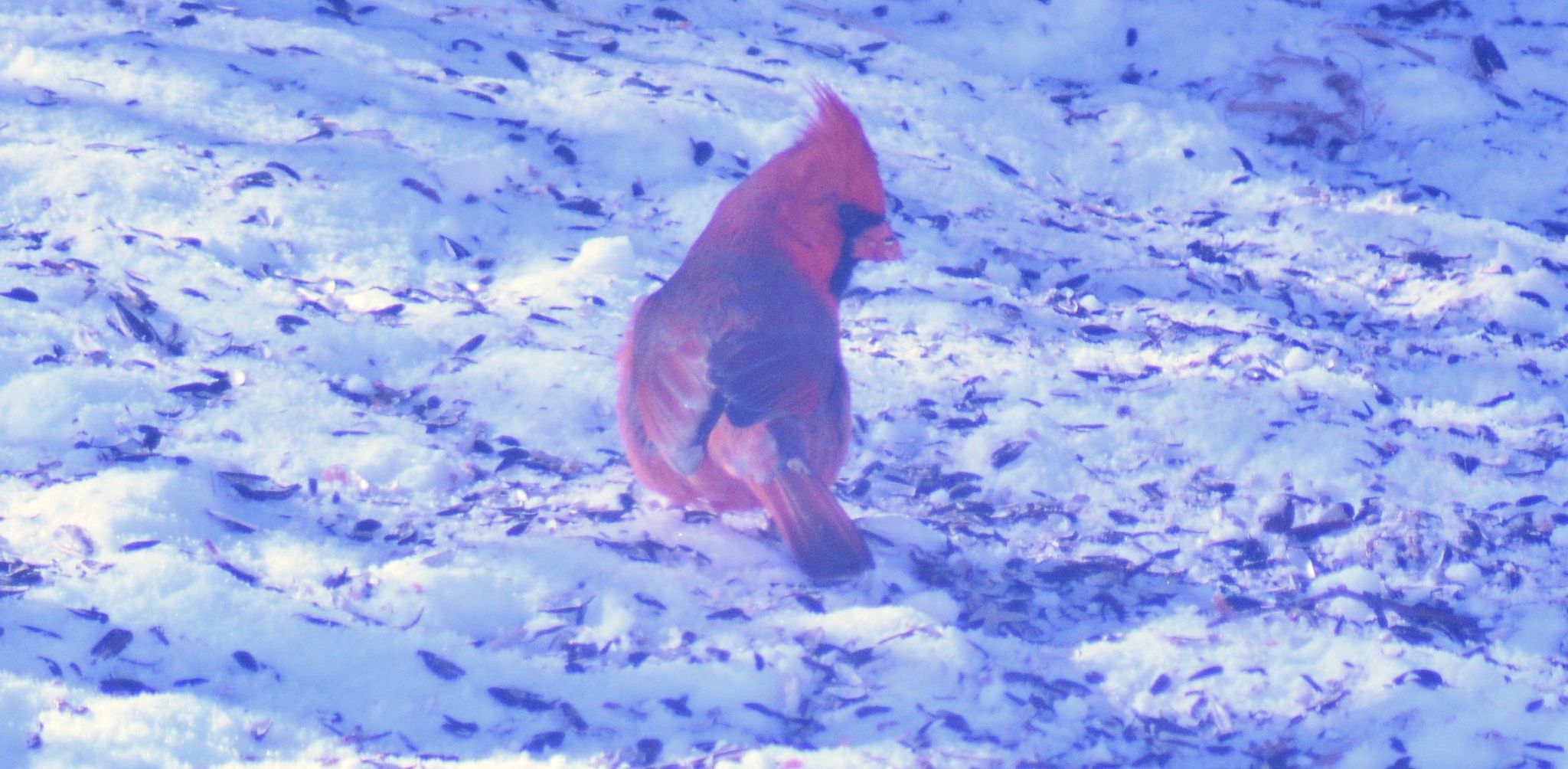 Community photo by Asha