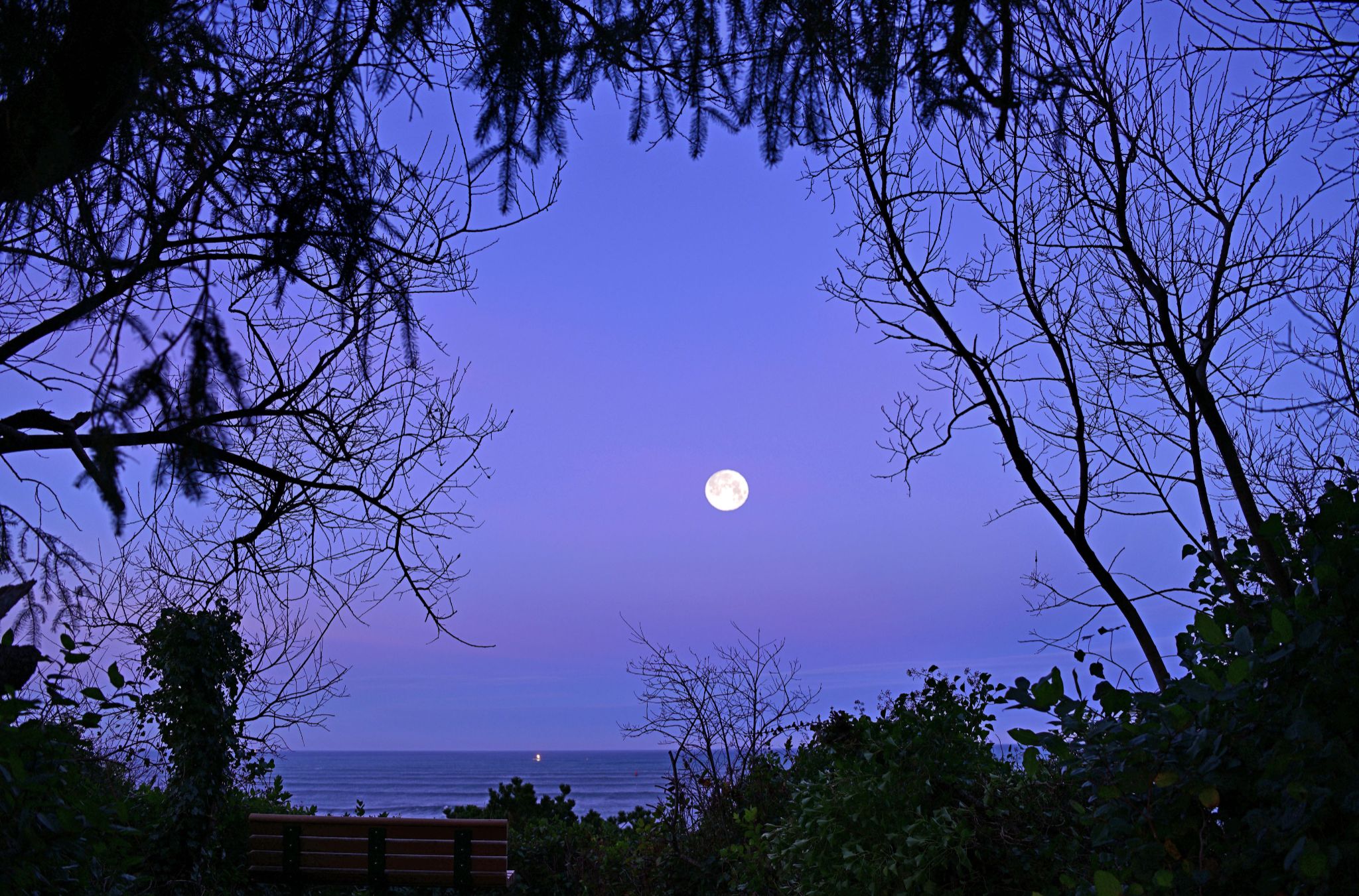 Community photo by Cecille Kennedy | Oregon Coast, Oregon