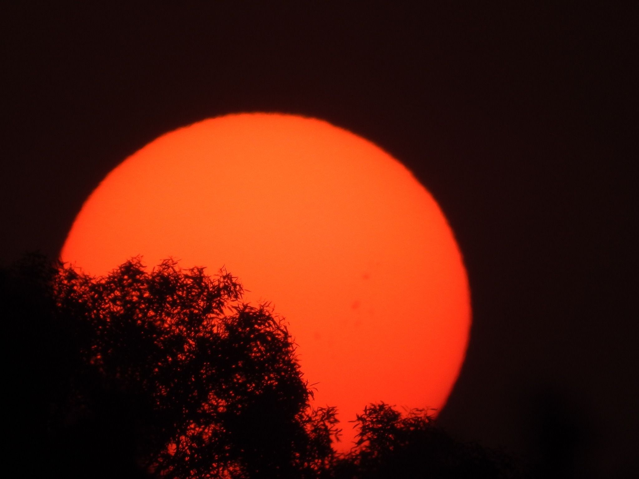 Community photo by Henry