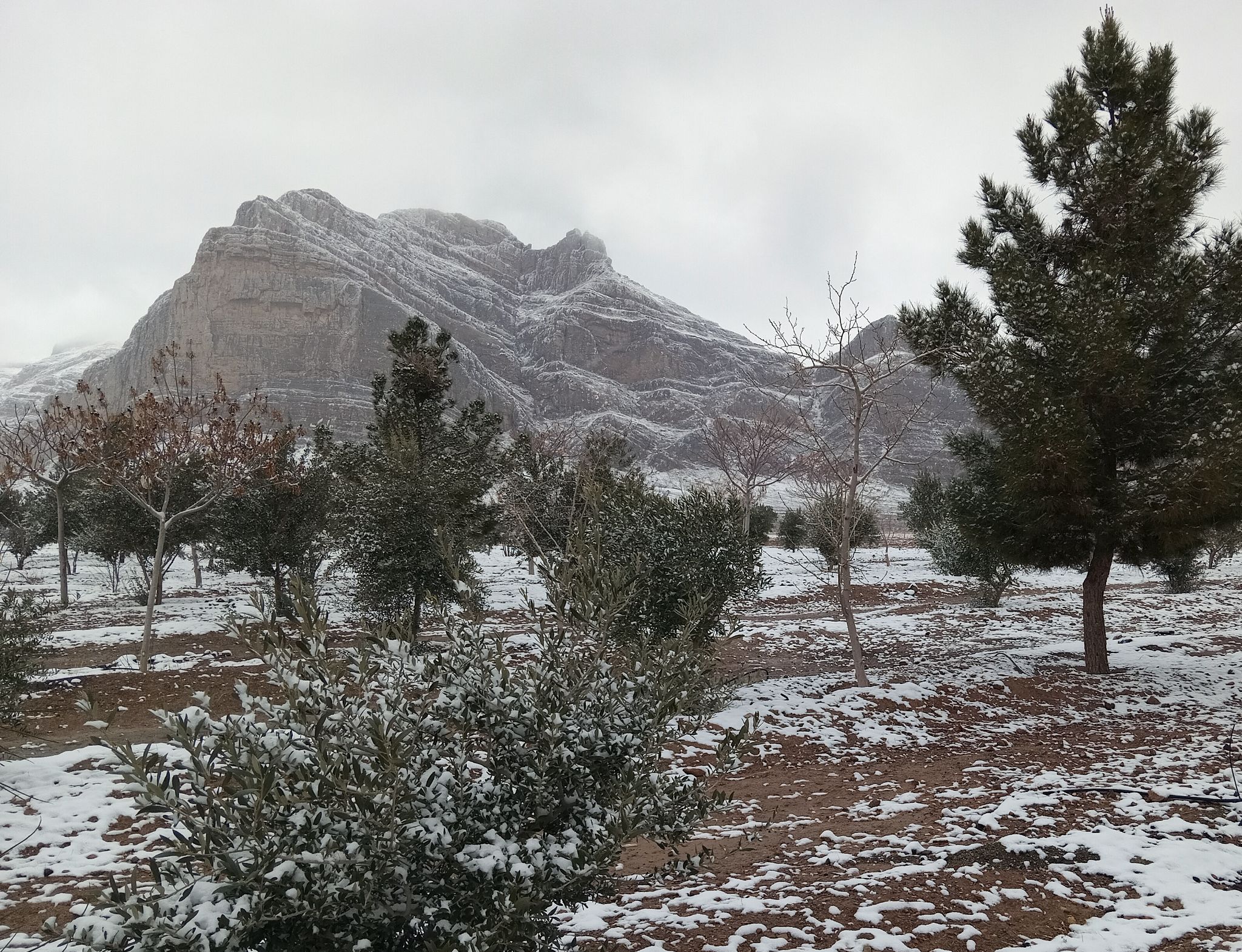 Community photo by Hassan