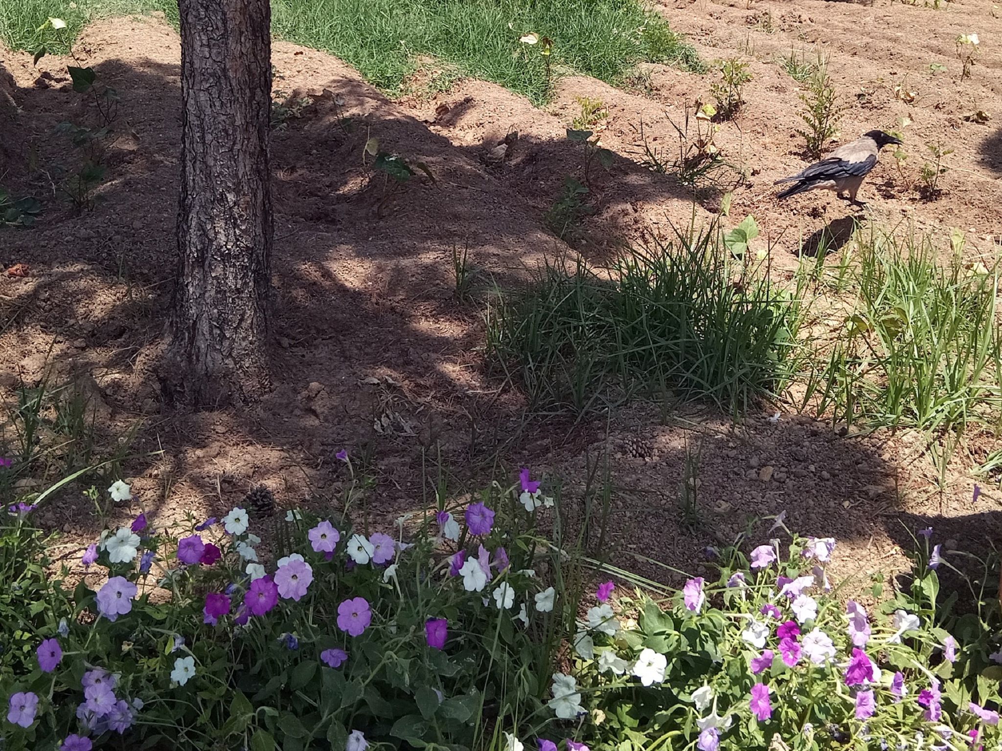 Community photo by Hassan