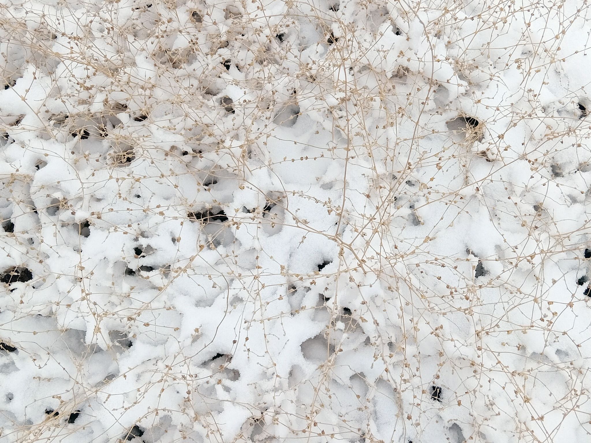 Community photo by Hassan