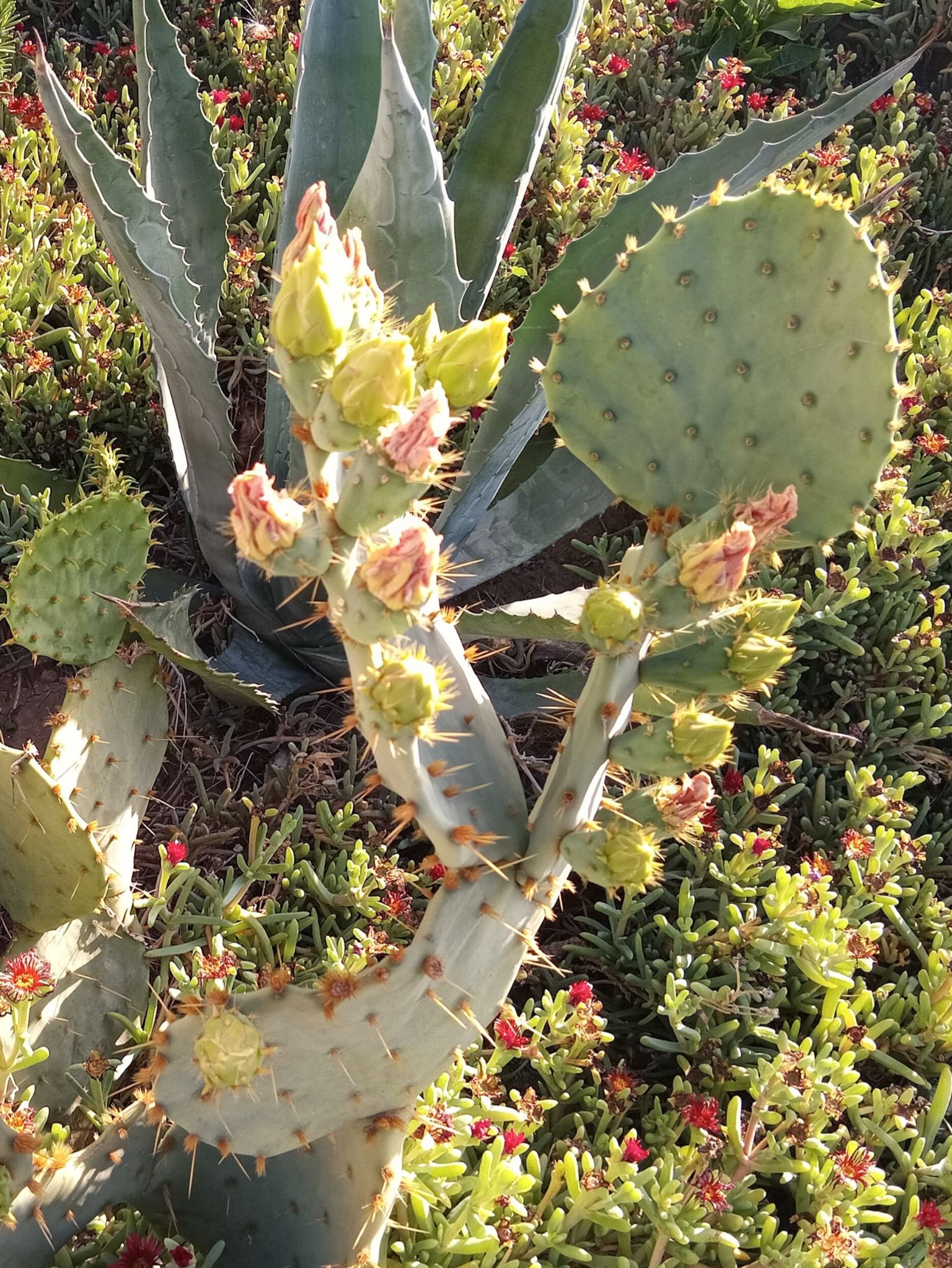 Community photo by Hassan