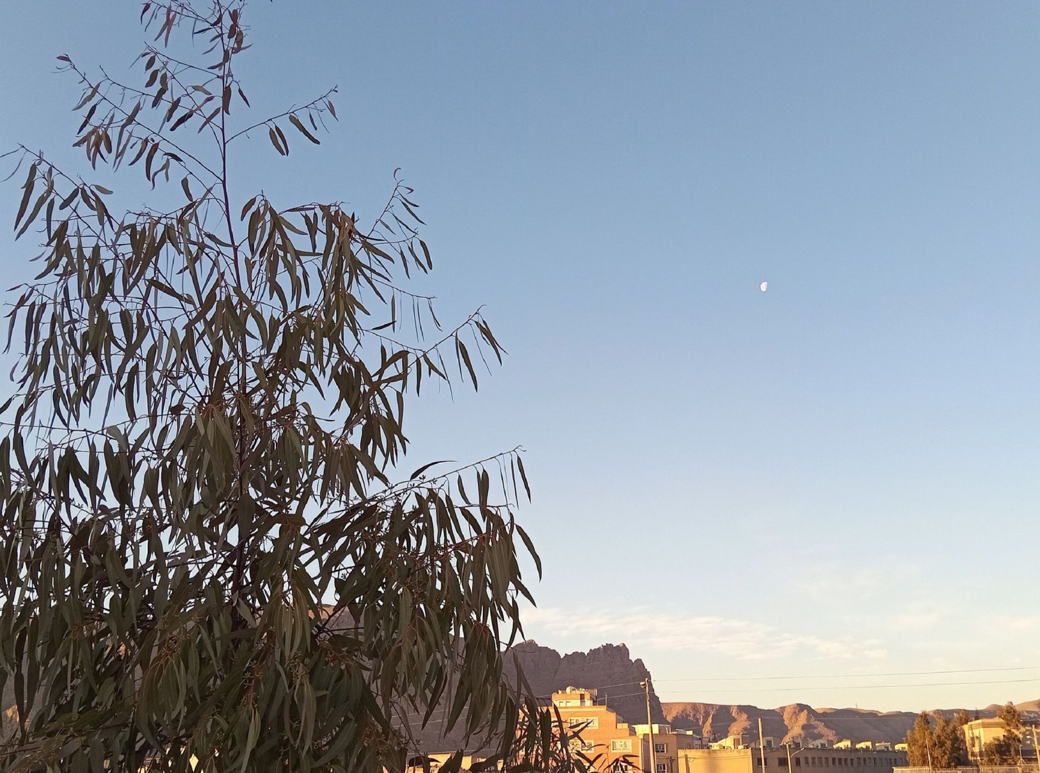 Community photo by Hassan