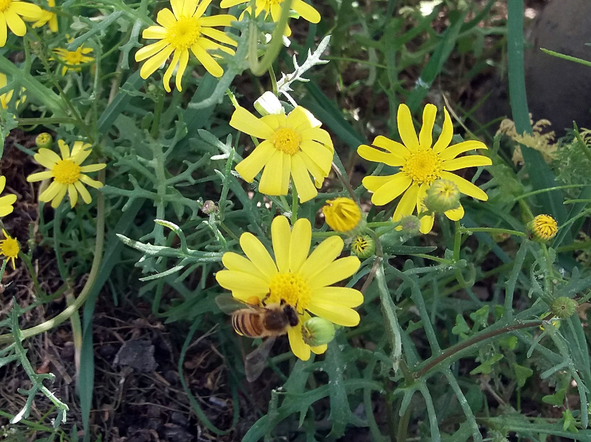 Community photo by Hassan