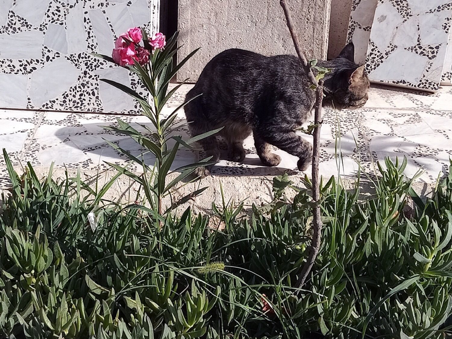 Community photo by Hassan