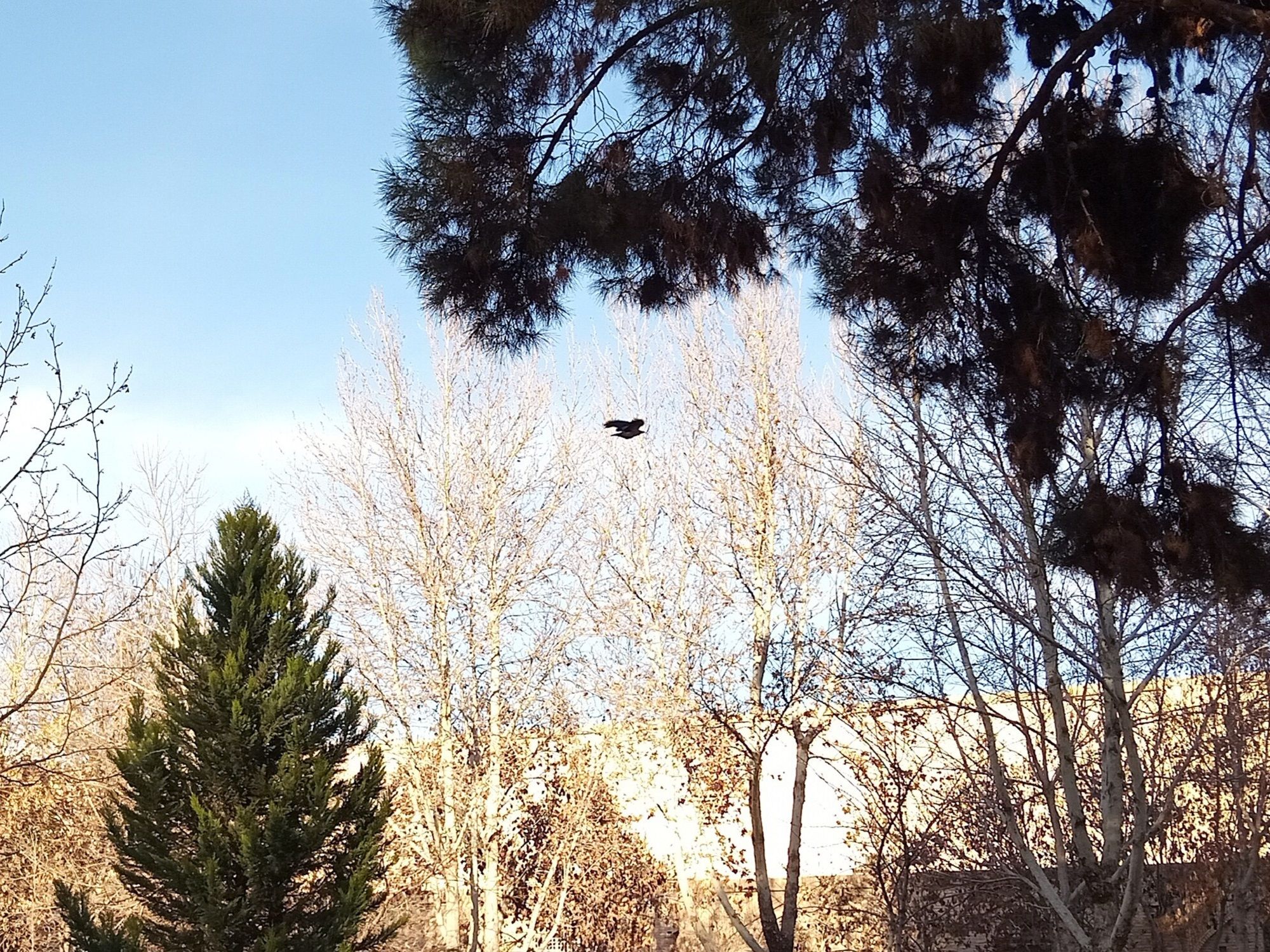 Community photo by Hassan