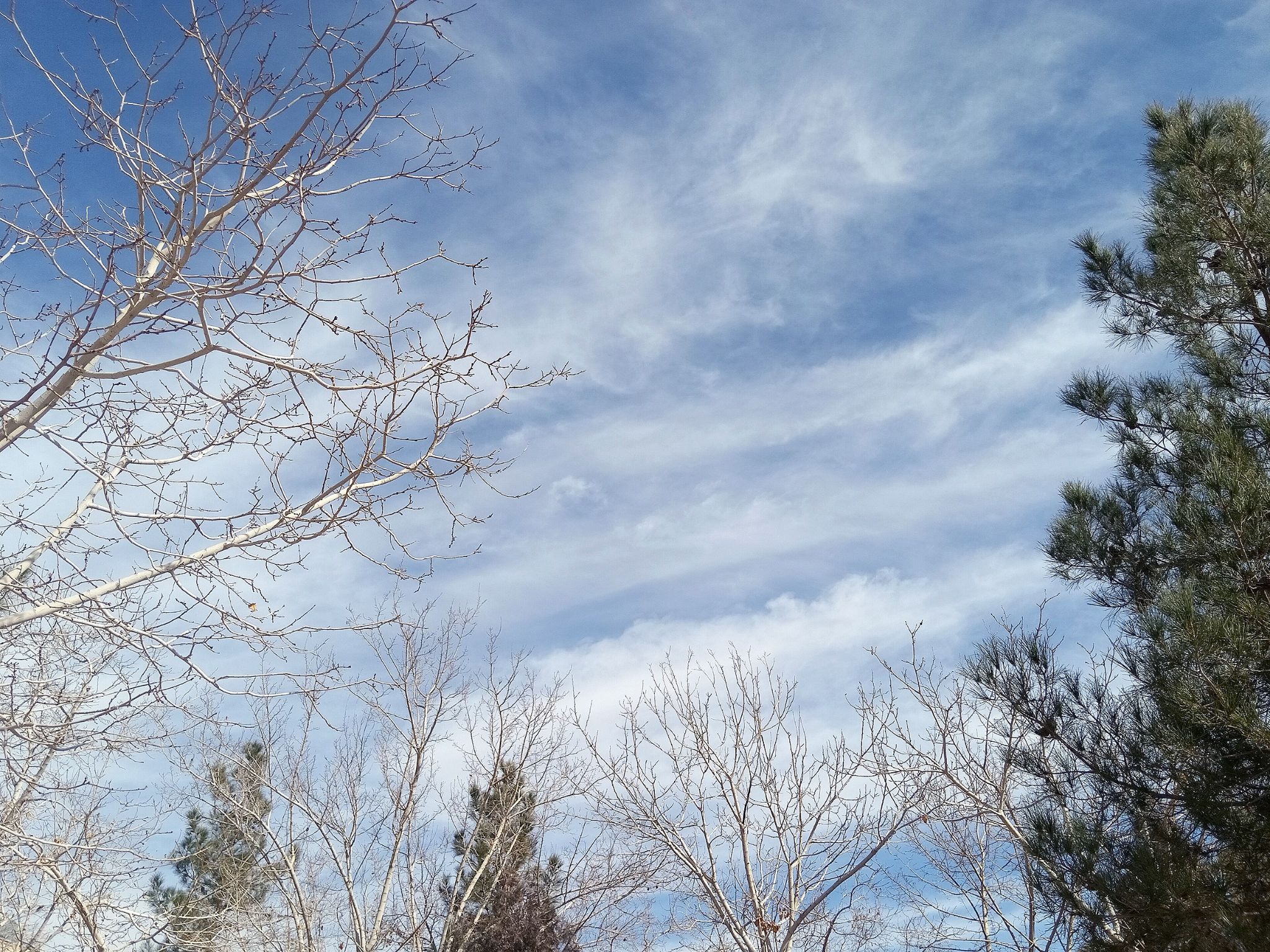 Community photo by Hassan