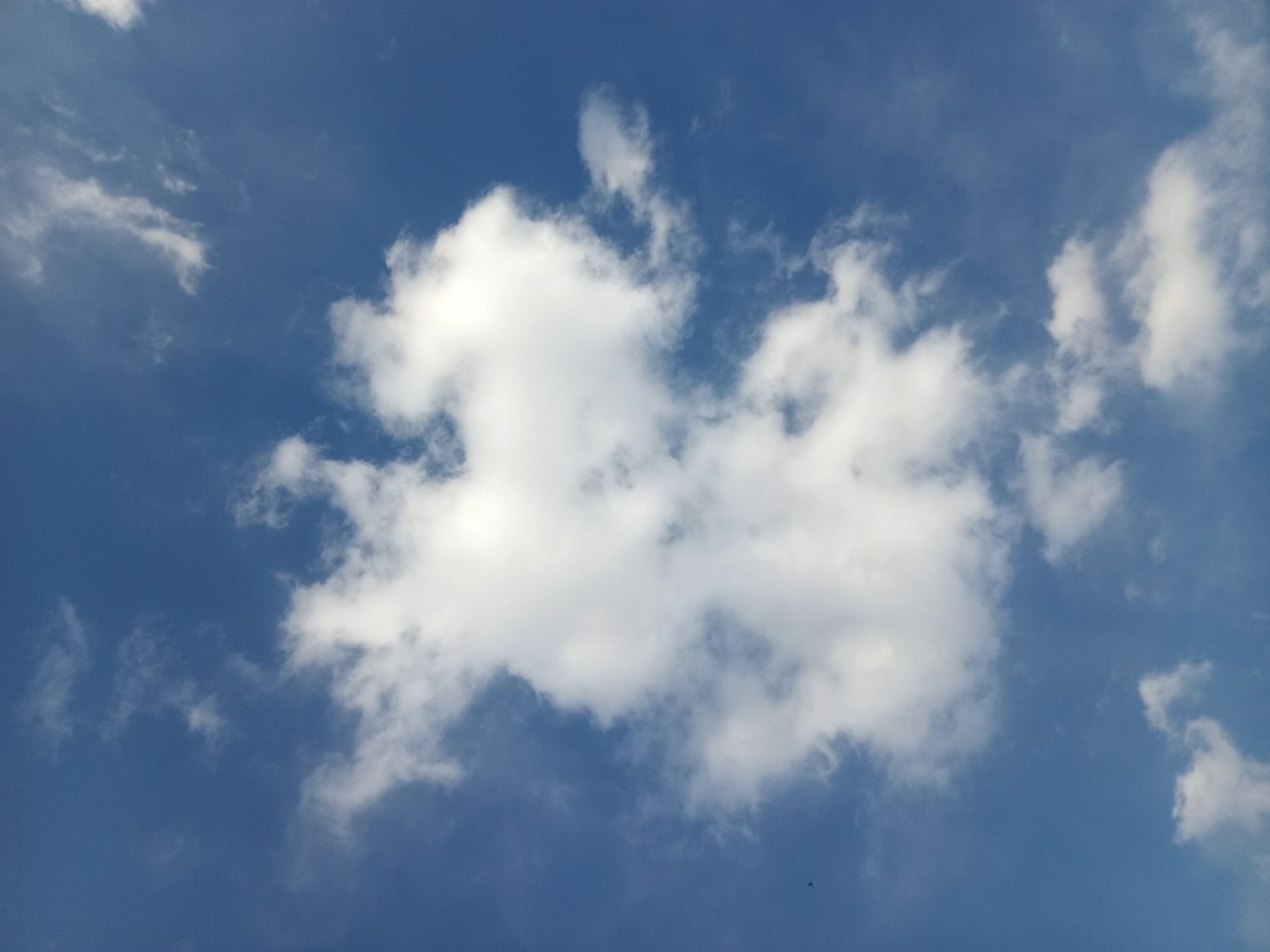 Community photo by Hassan