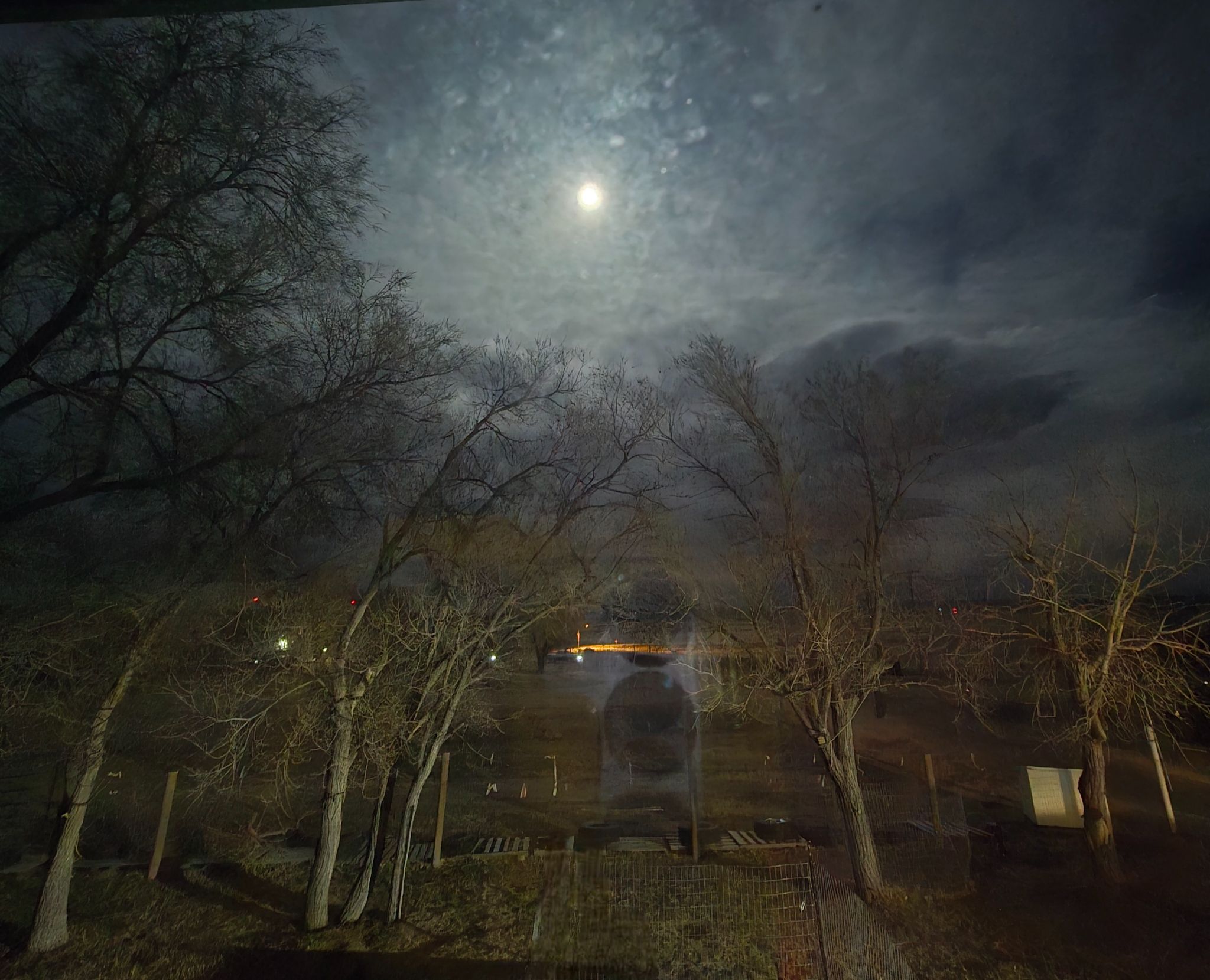 Community photo by Nena