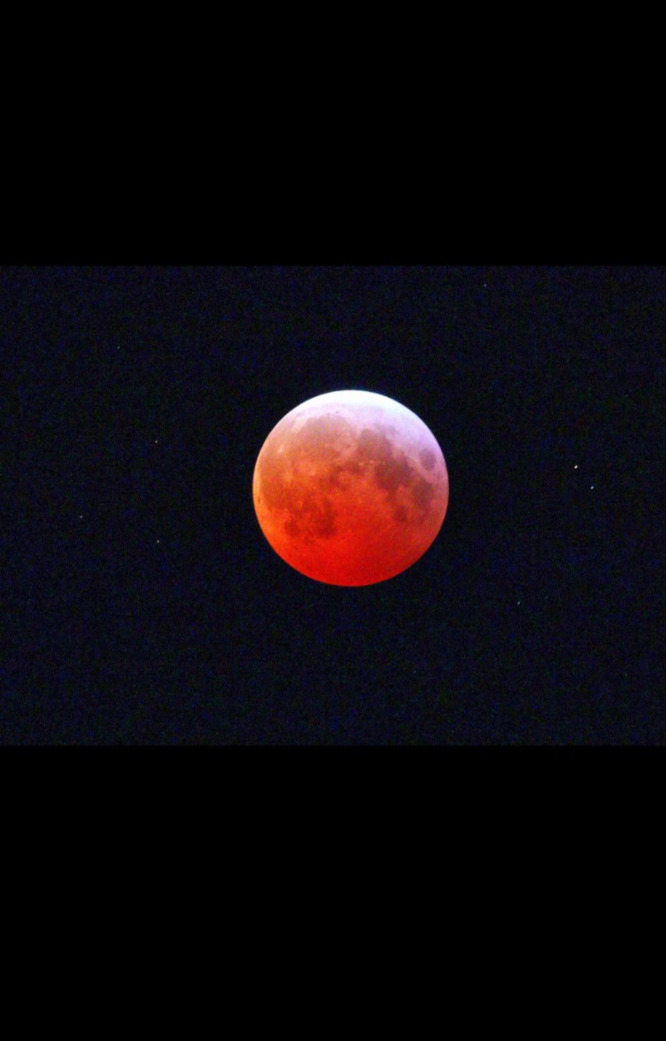 Community photo entitled Total Lunar Eclipse 2025 by Robert Lepage on 03/14/2025 at Cornwall,On.