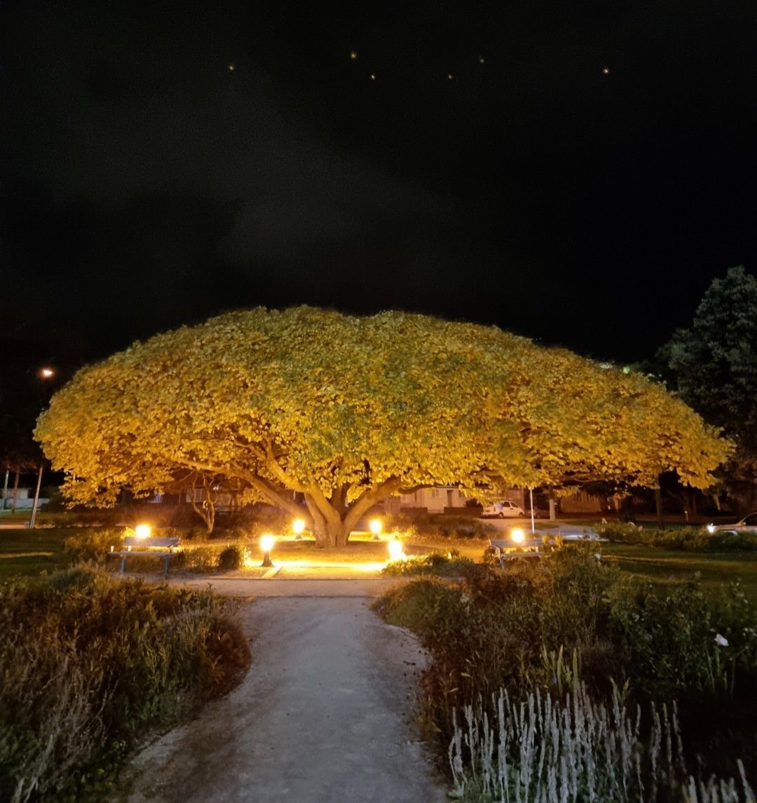 Community photo by Terene