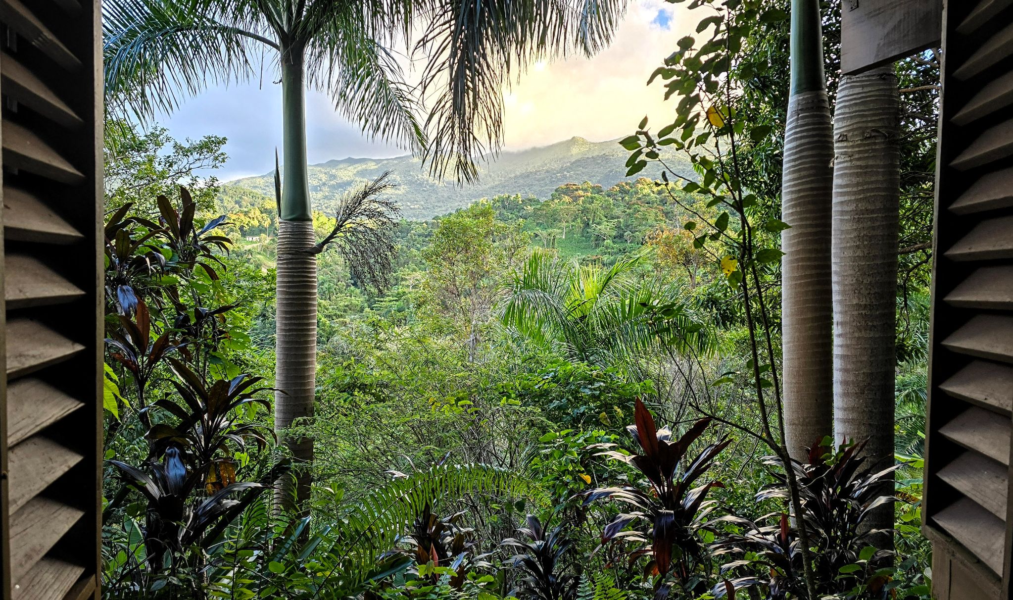 Community photo by Saranya J | Puerto rico