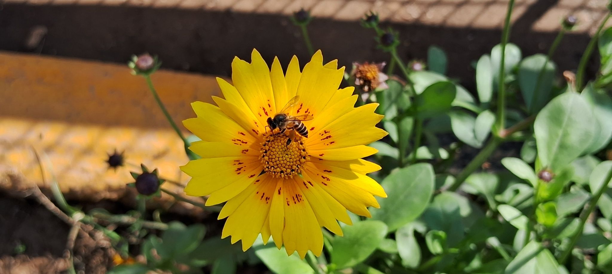 Community photo by Vedant