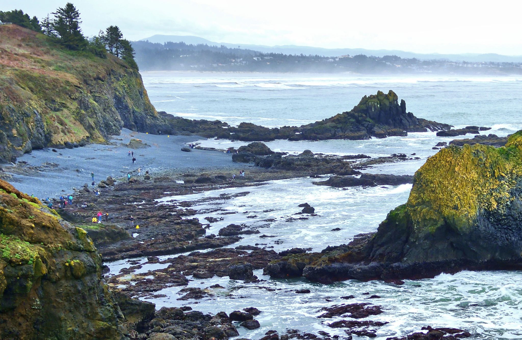 Community photo by Cecille Kennedy | Newport, Oregon