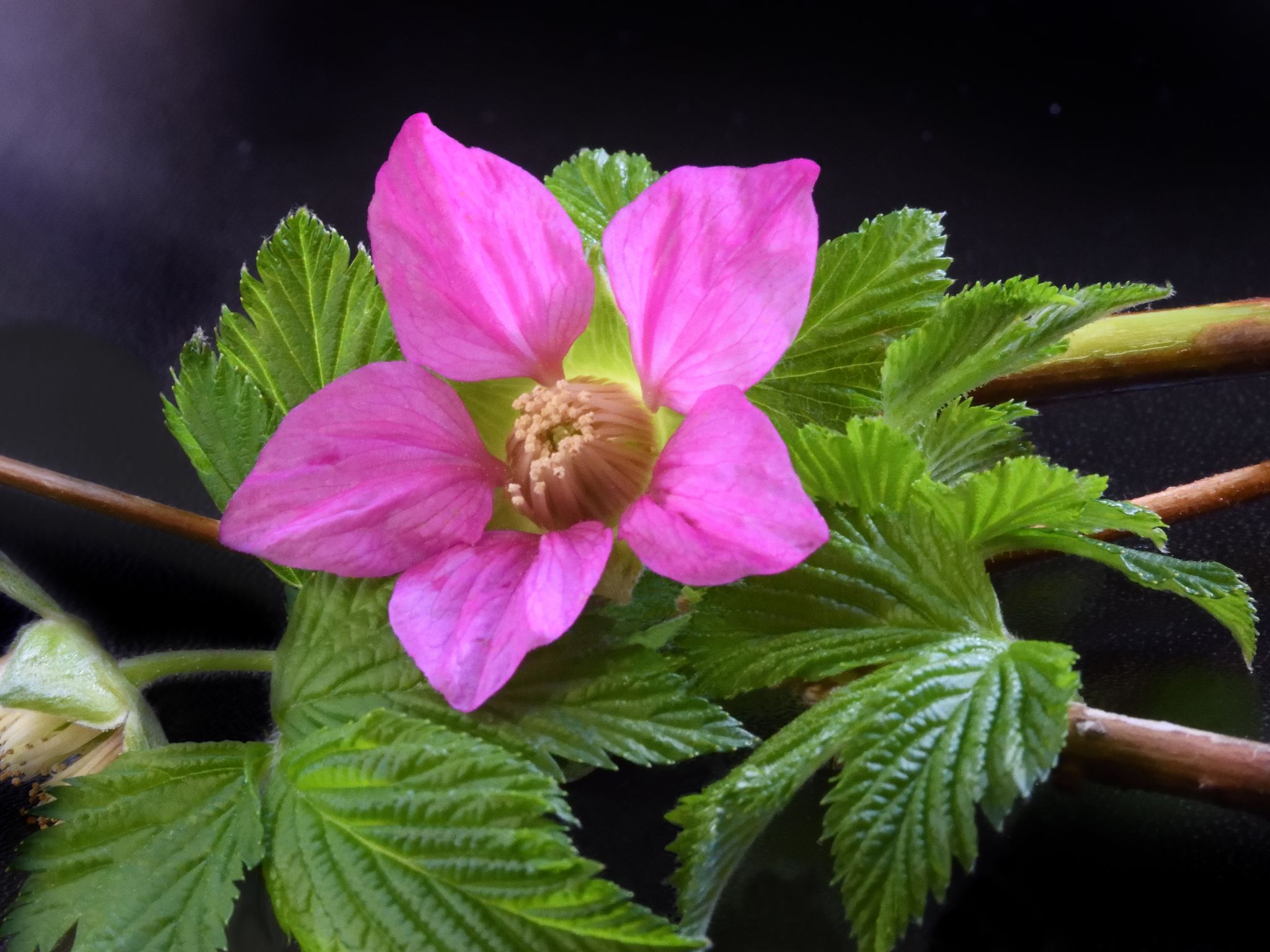 Community photo by Cecille Kennedy | Depoe Bay, Oregon
