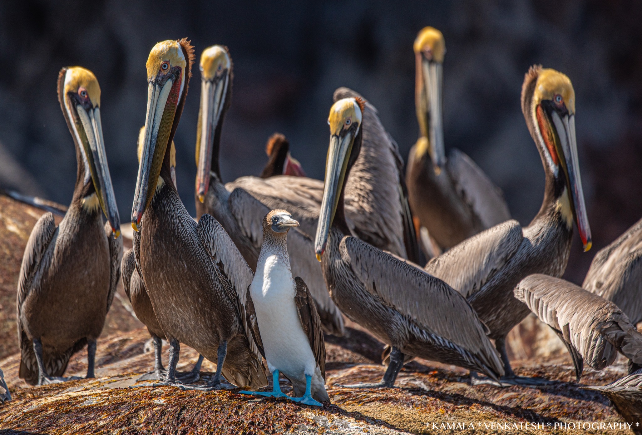 Community photo by Kamala